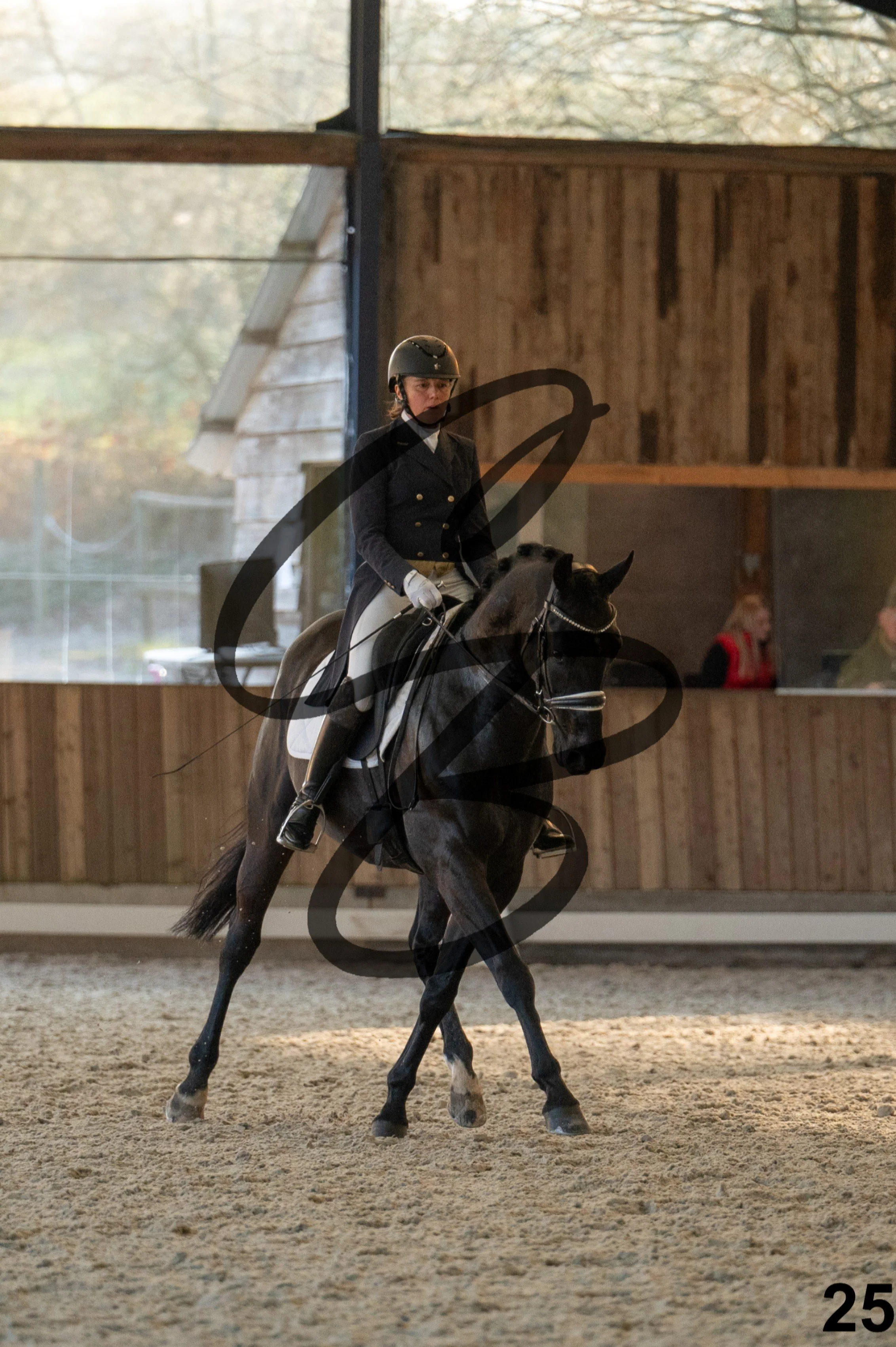 2026.03.22 - niv4.2-25.jpg