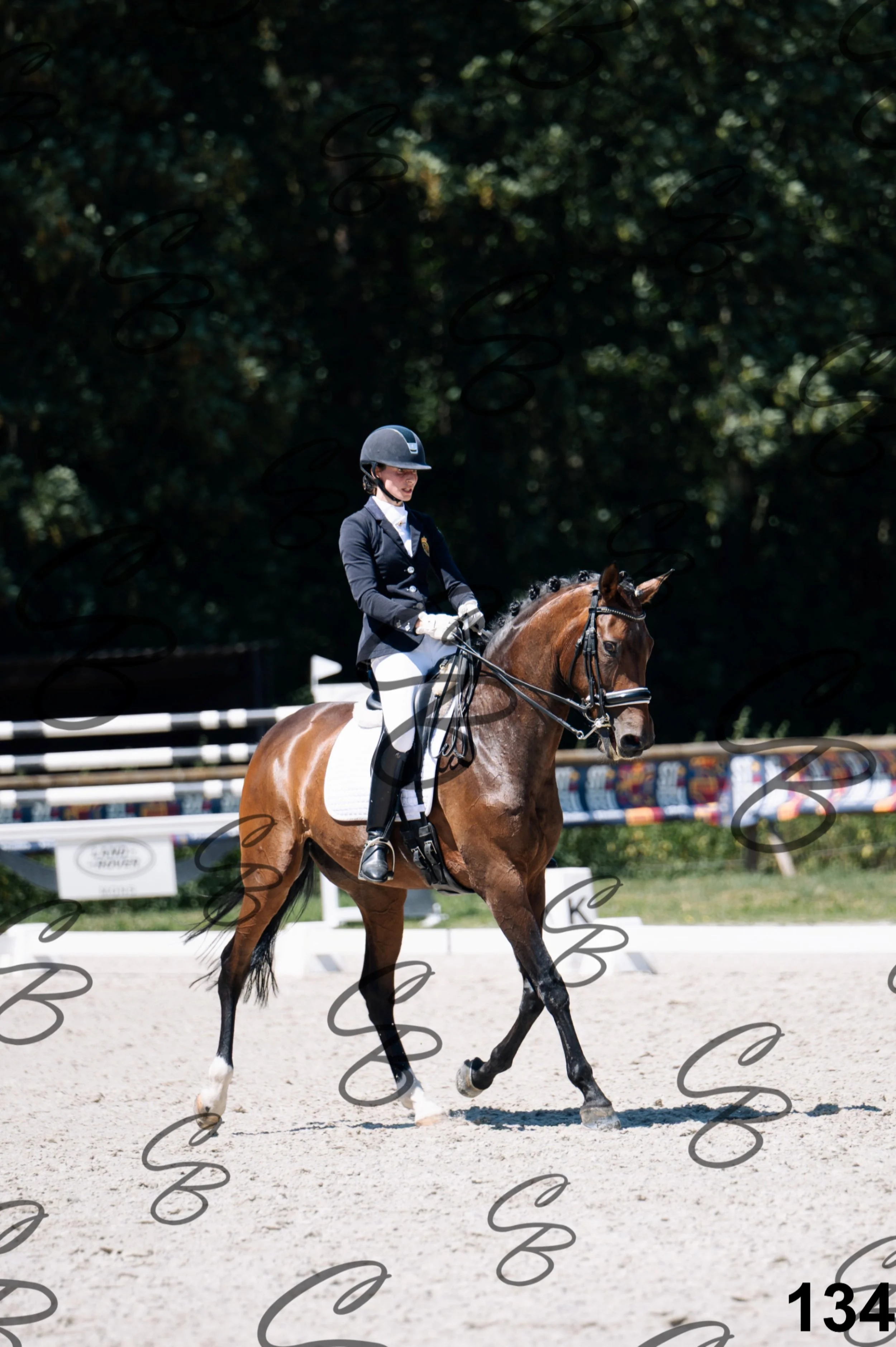 2026.07.12 - Niveau 4 - N4.3-134.jpg