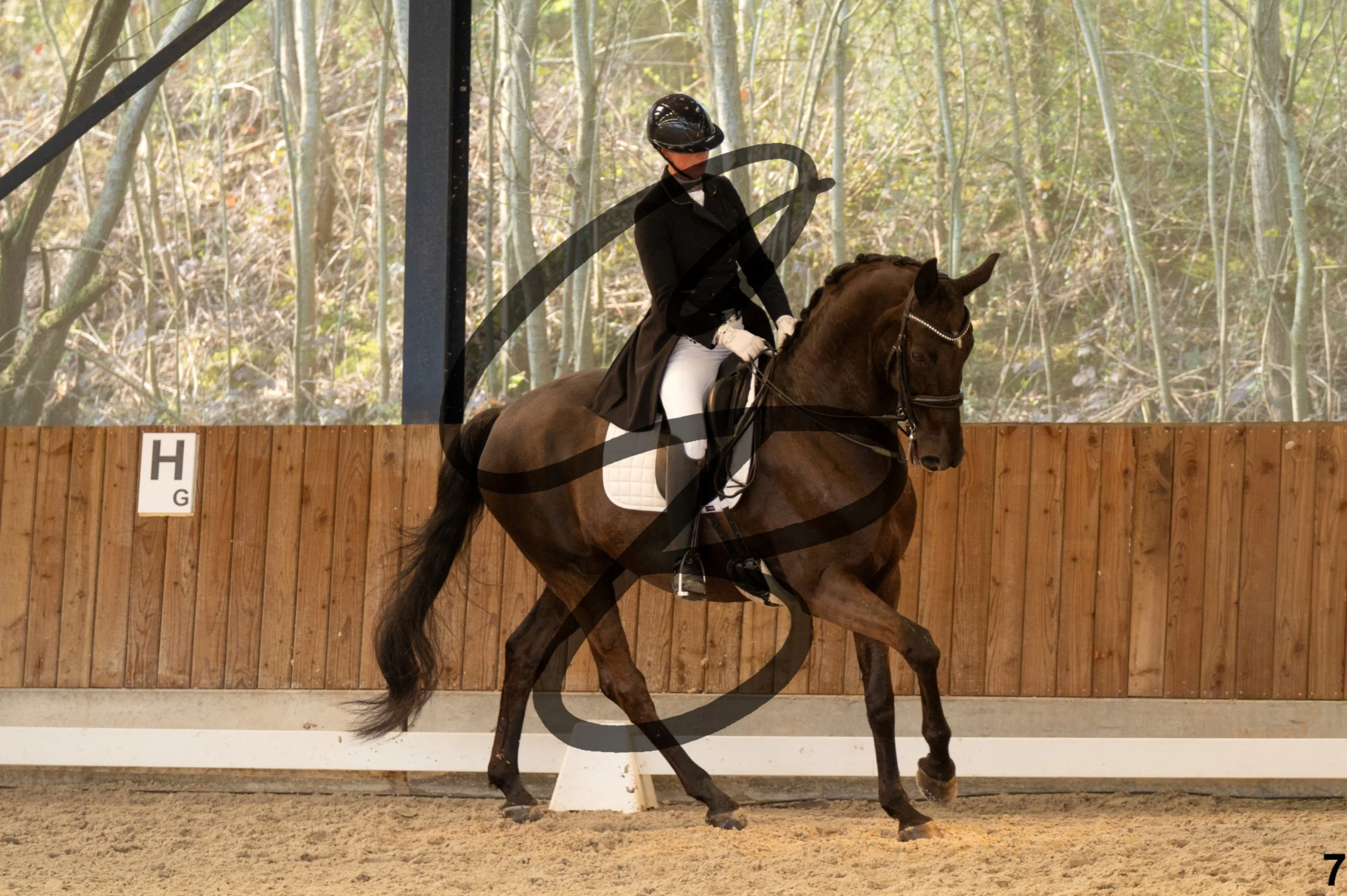 2026.03.22 - grand prix-7.jpg