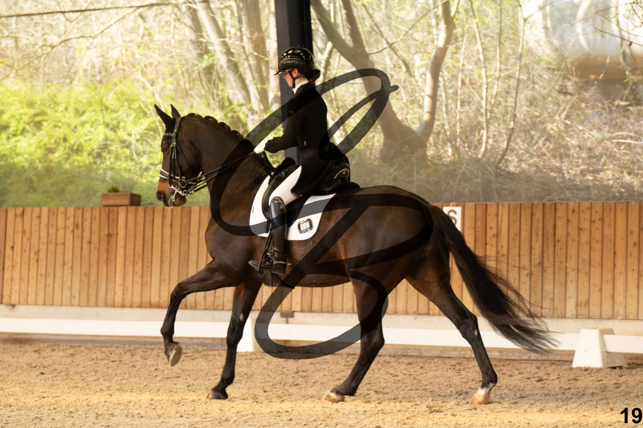 2026.03.22 - Niv5 - Young rider team-19.jpg