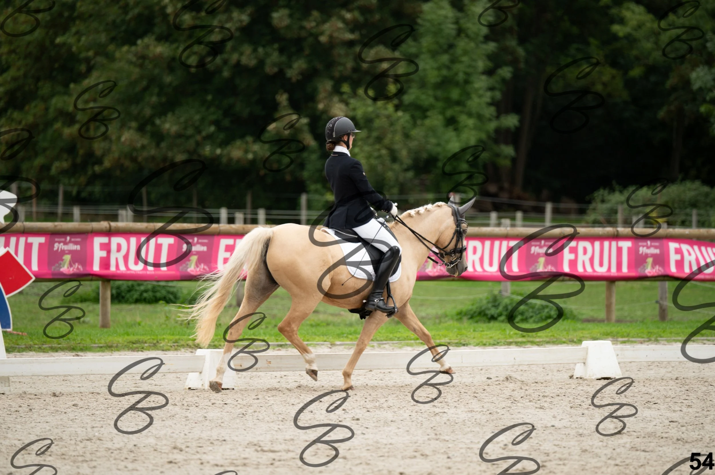 2026.09.13 - Alyssia-54.jpg