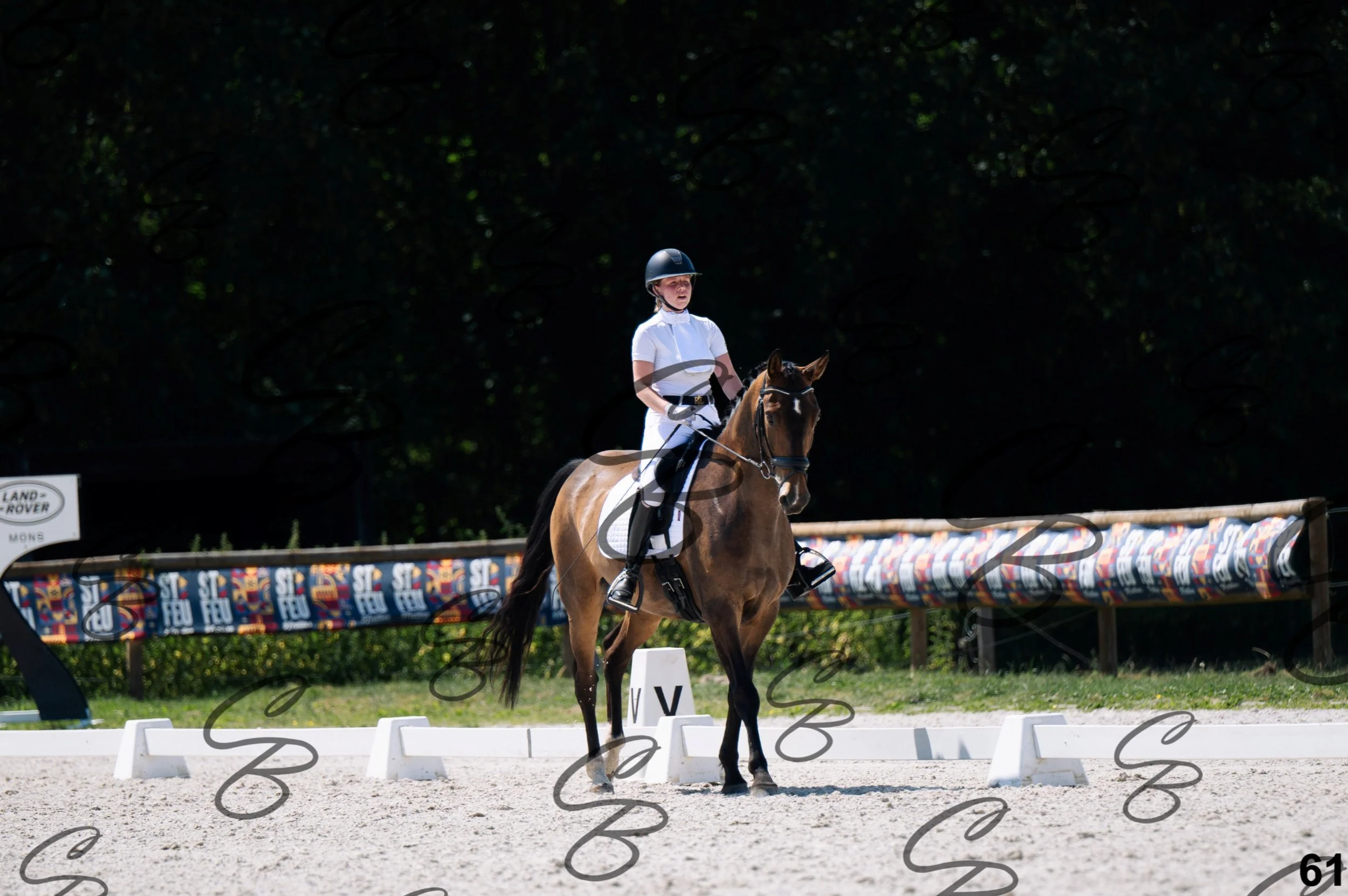 2026.07.12 - Niveau 2 - N2.4-61.jpg