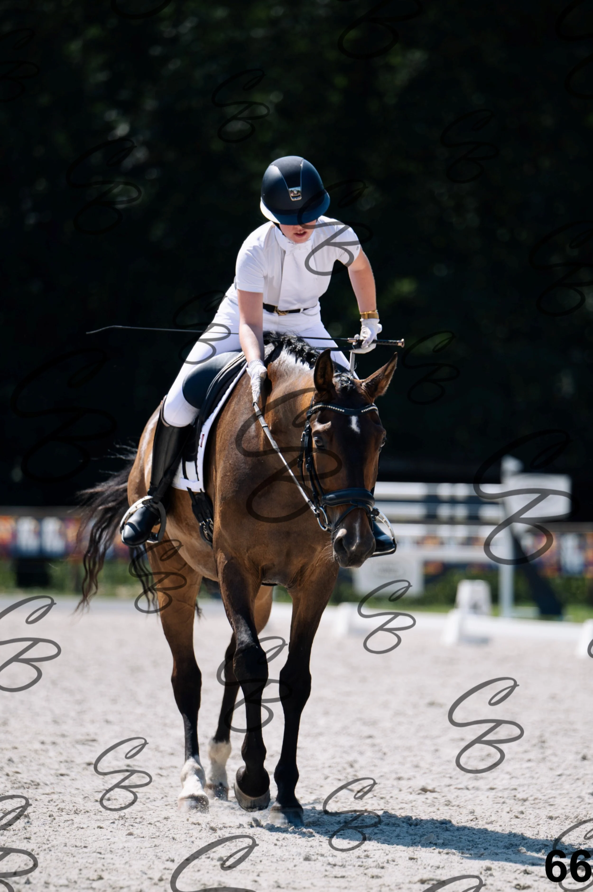 2026.07.12 - Niveau 2 - N2.4-66.jpg