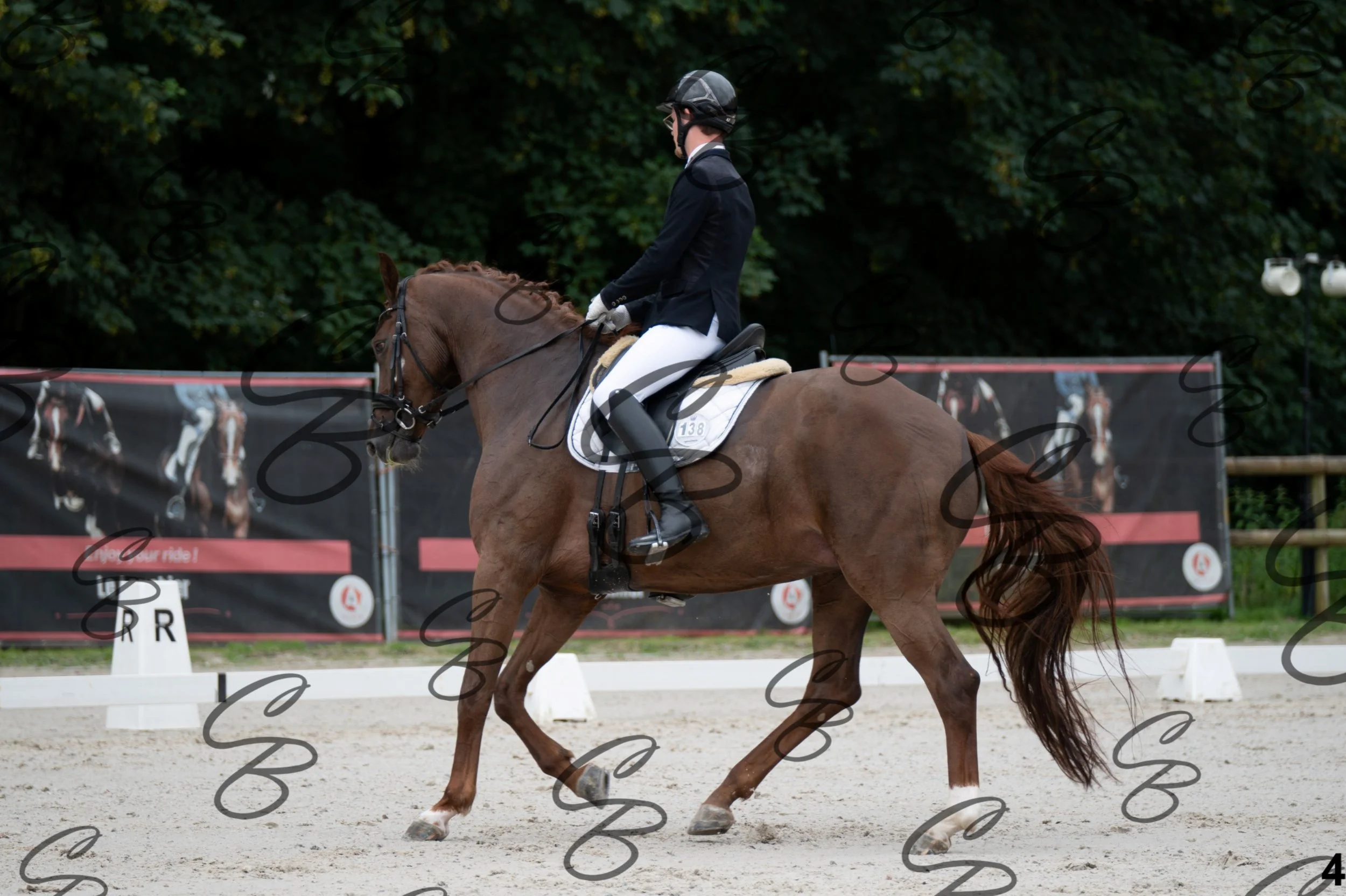 2026.07.04 - 1 Robin robert-4.jpg