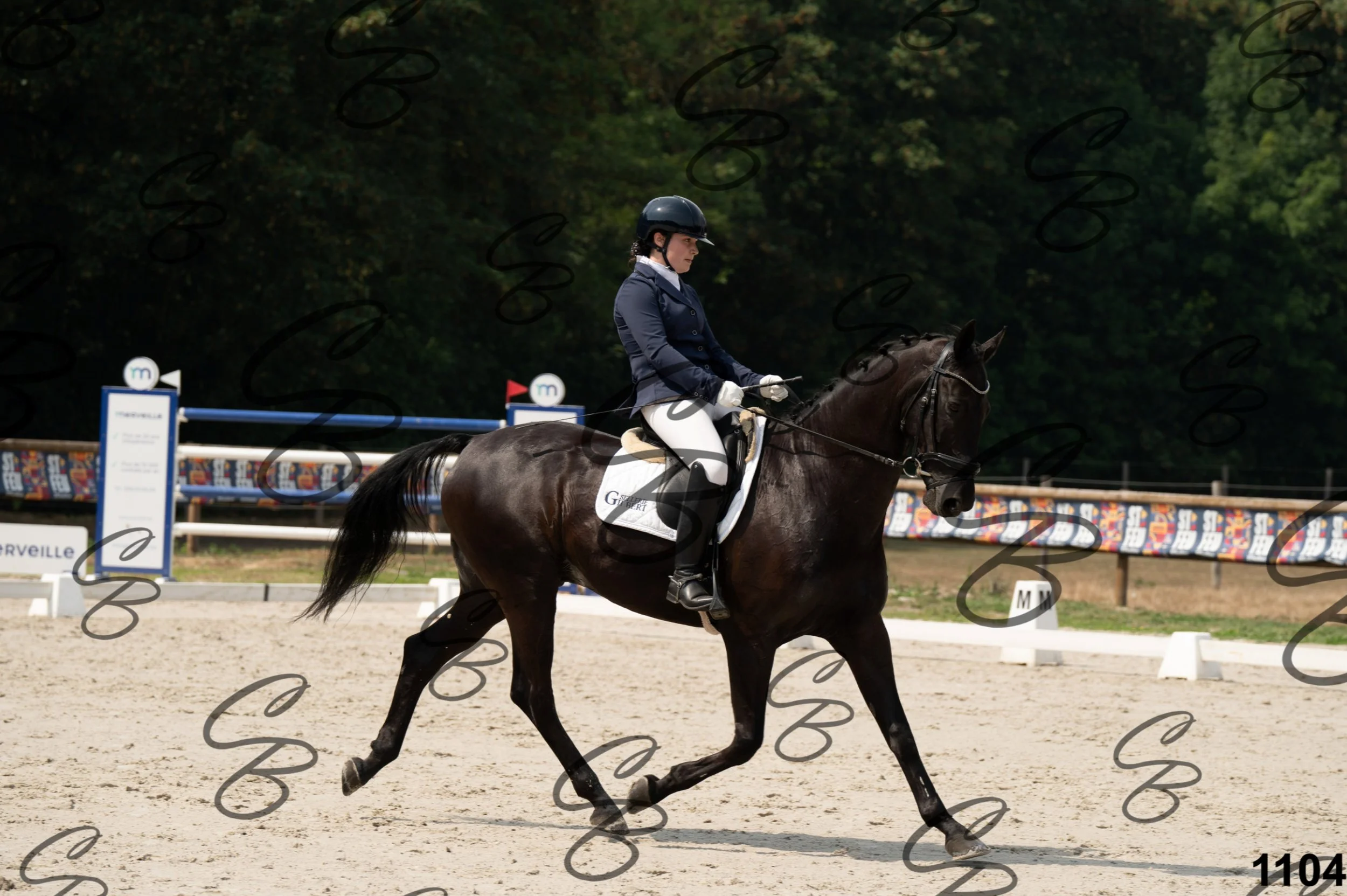 2026.08.15 - Louchier - GHO-1377.jpg