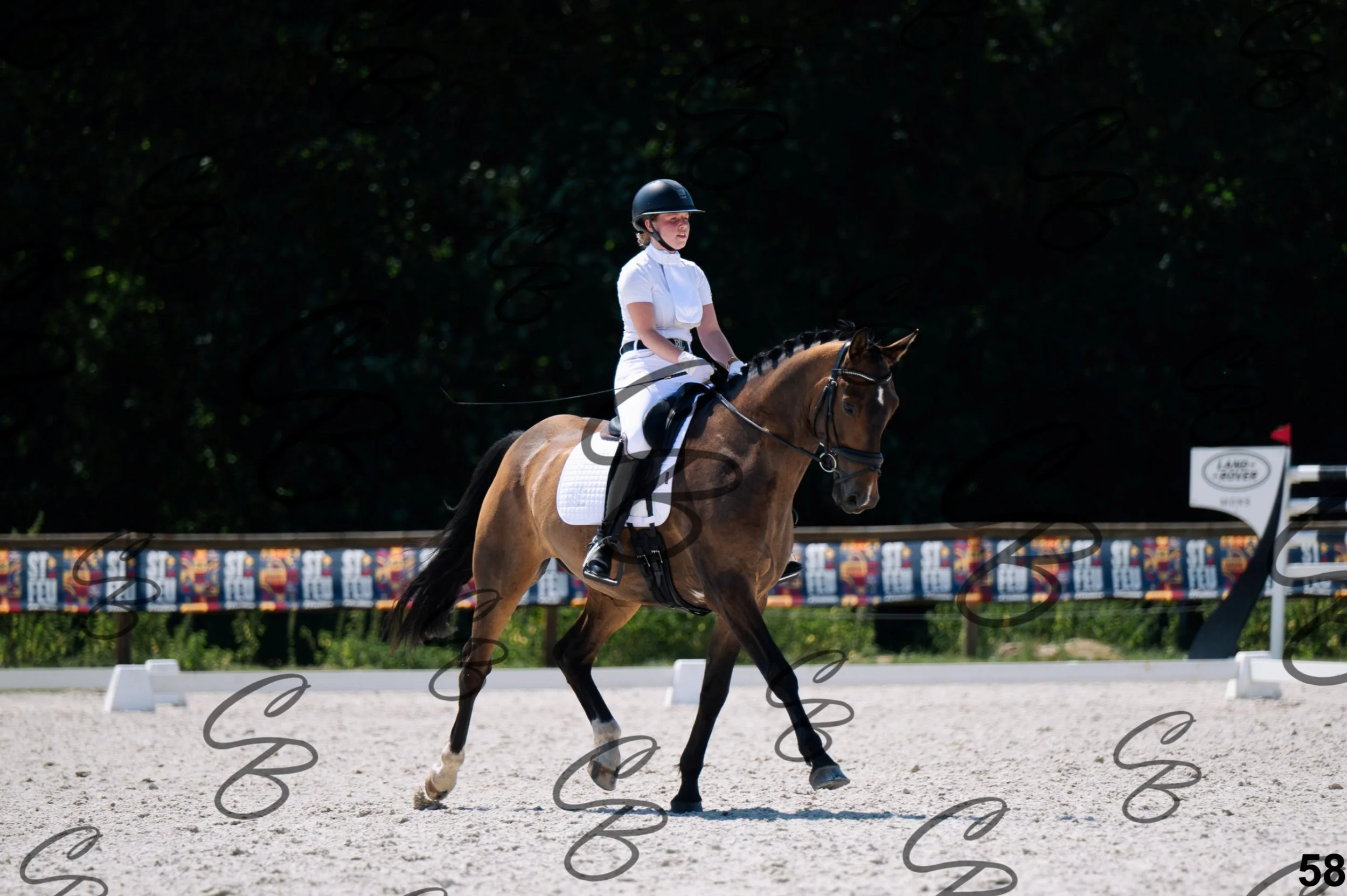 2026.07.12 - Niveau 2 - N2.4-58.jpg