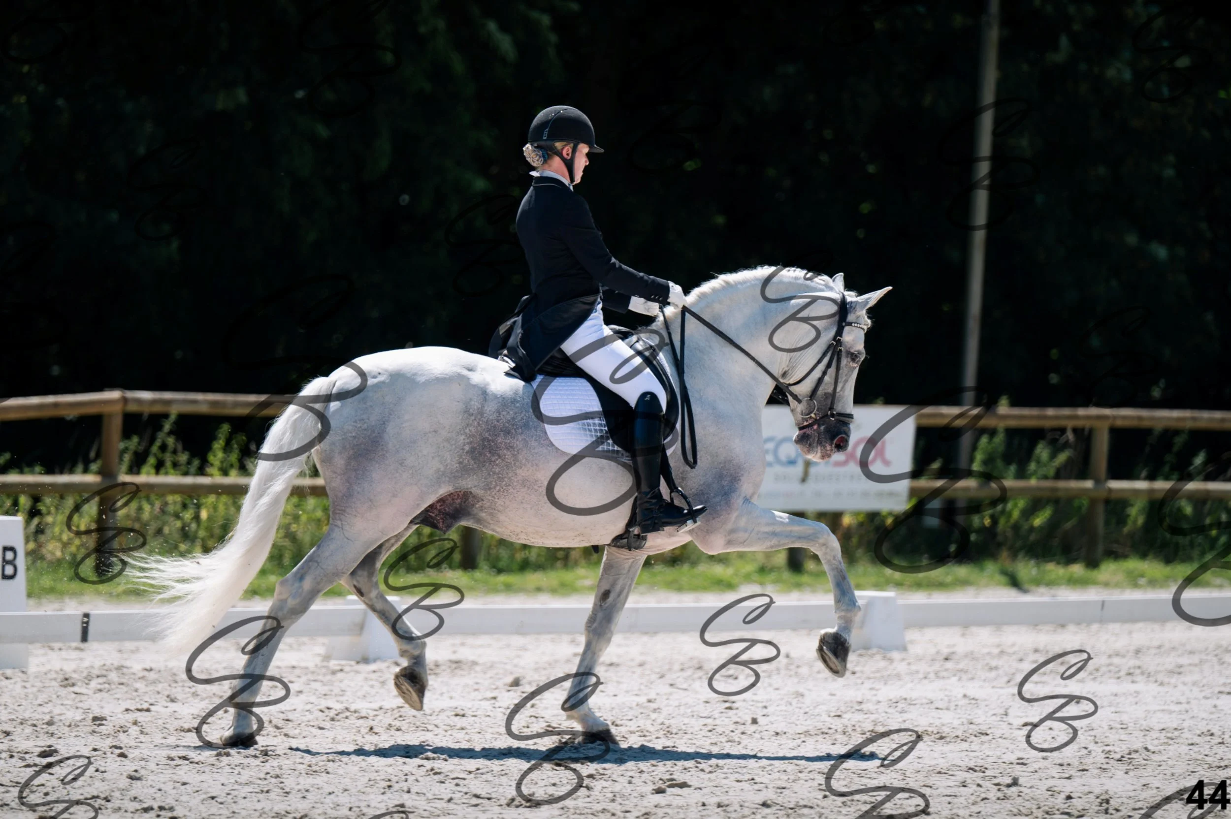 2026.07.11 - 13 Reyale - Niveau 6 - REYALE-45.jpg