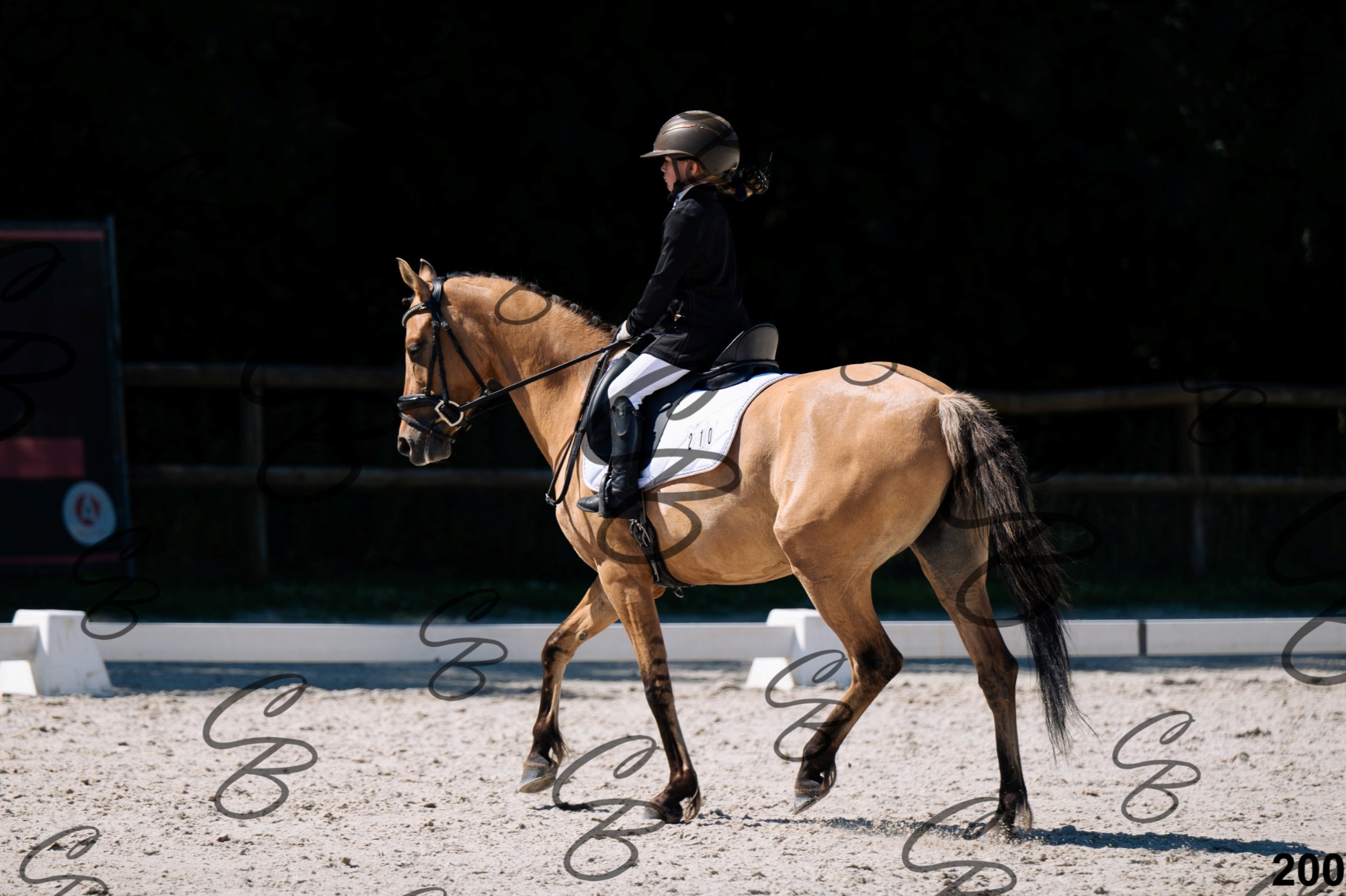 2026.07.12 -106 Niveau Initiation Poneys - Ini.6-17.jpg