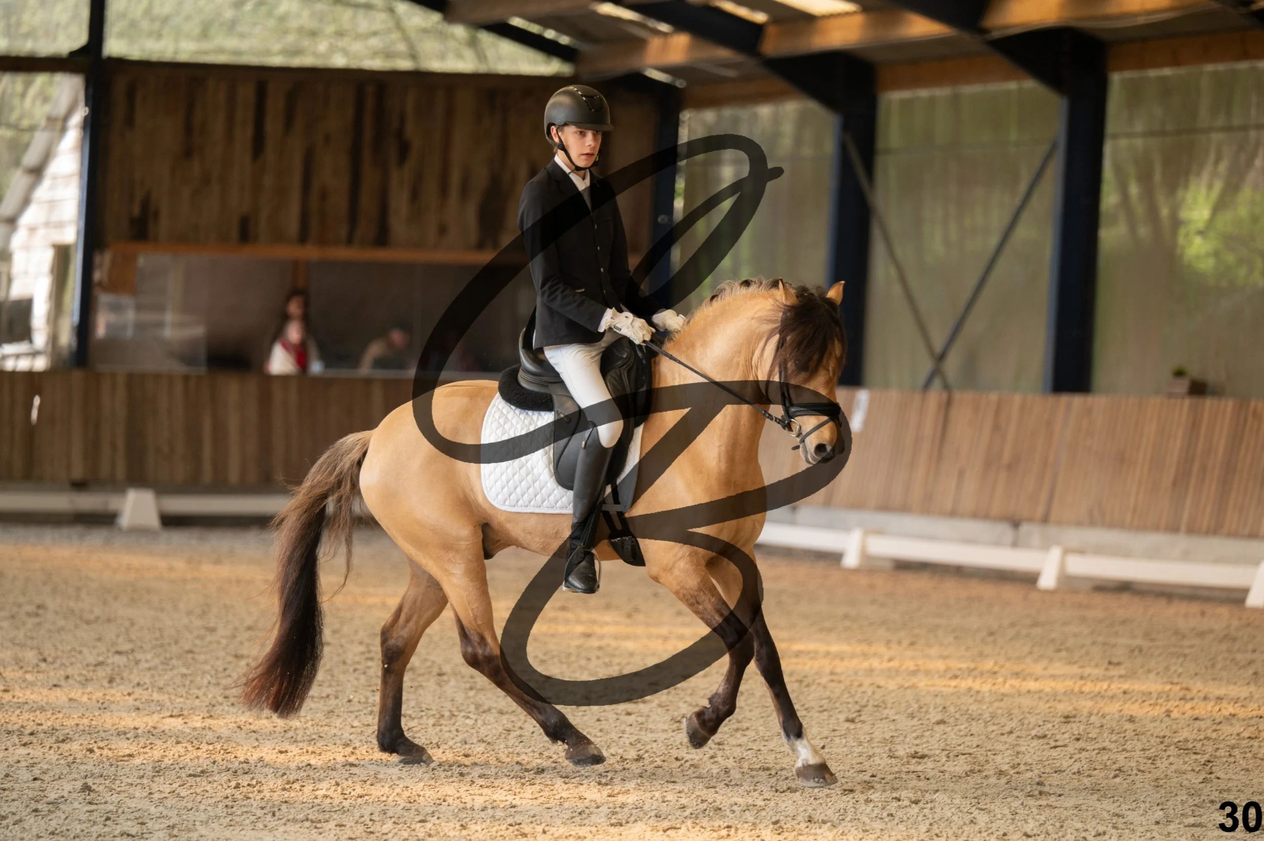 2026.03.22 - Niv3 - pony team test-30.jpg