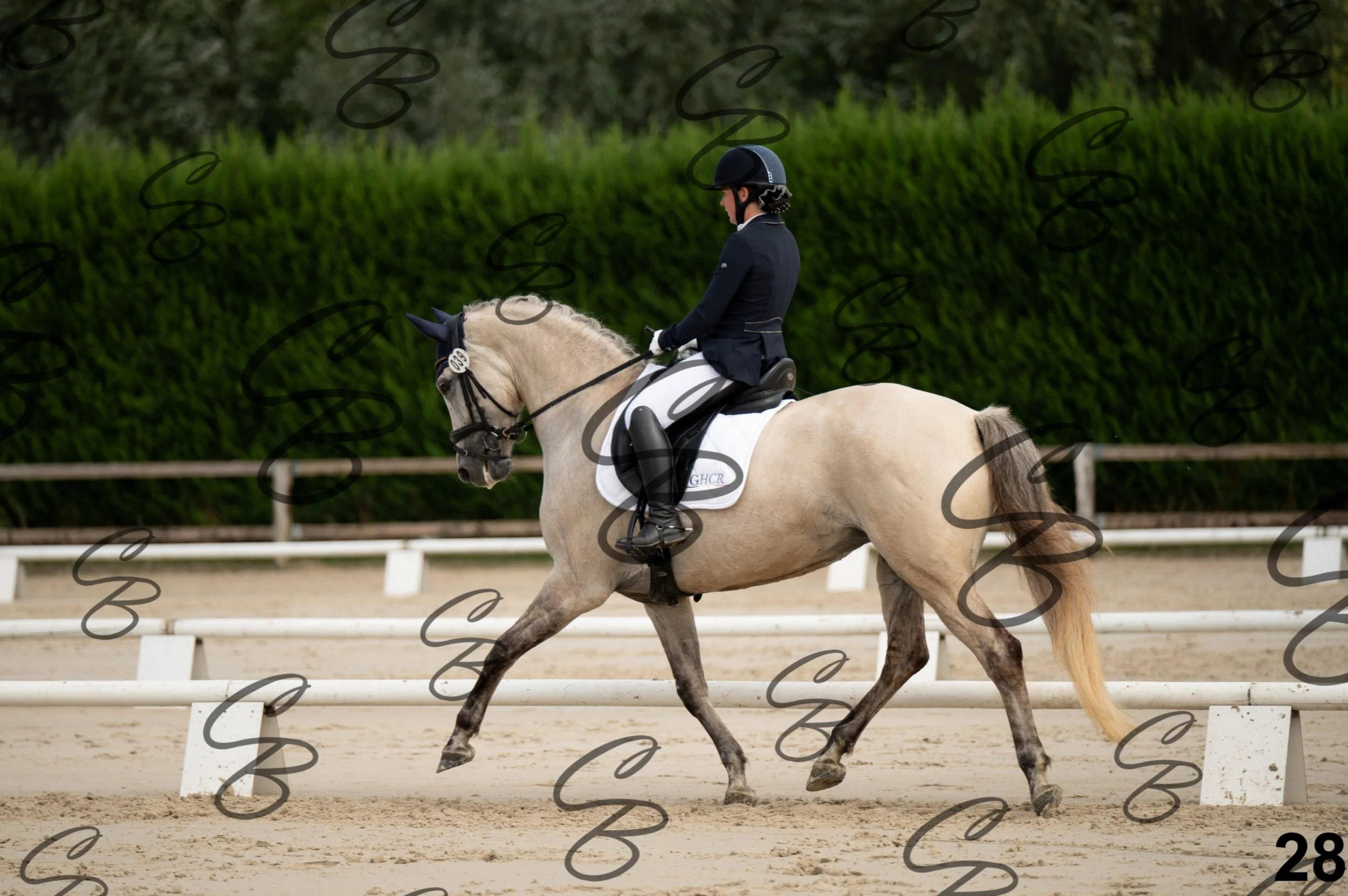 2026.09.20 - Djessy-28.jpg
