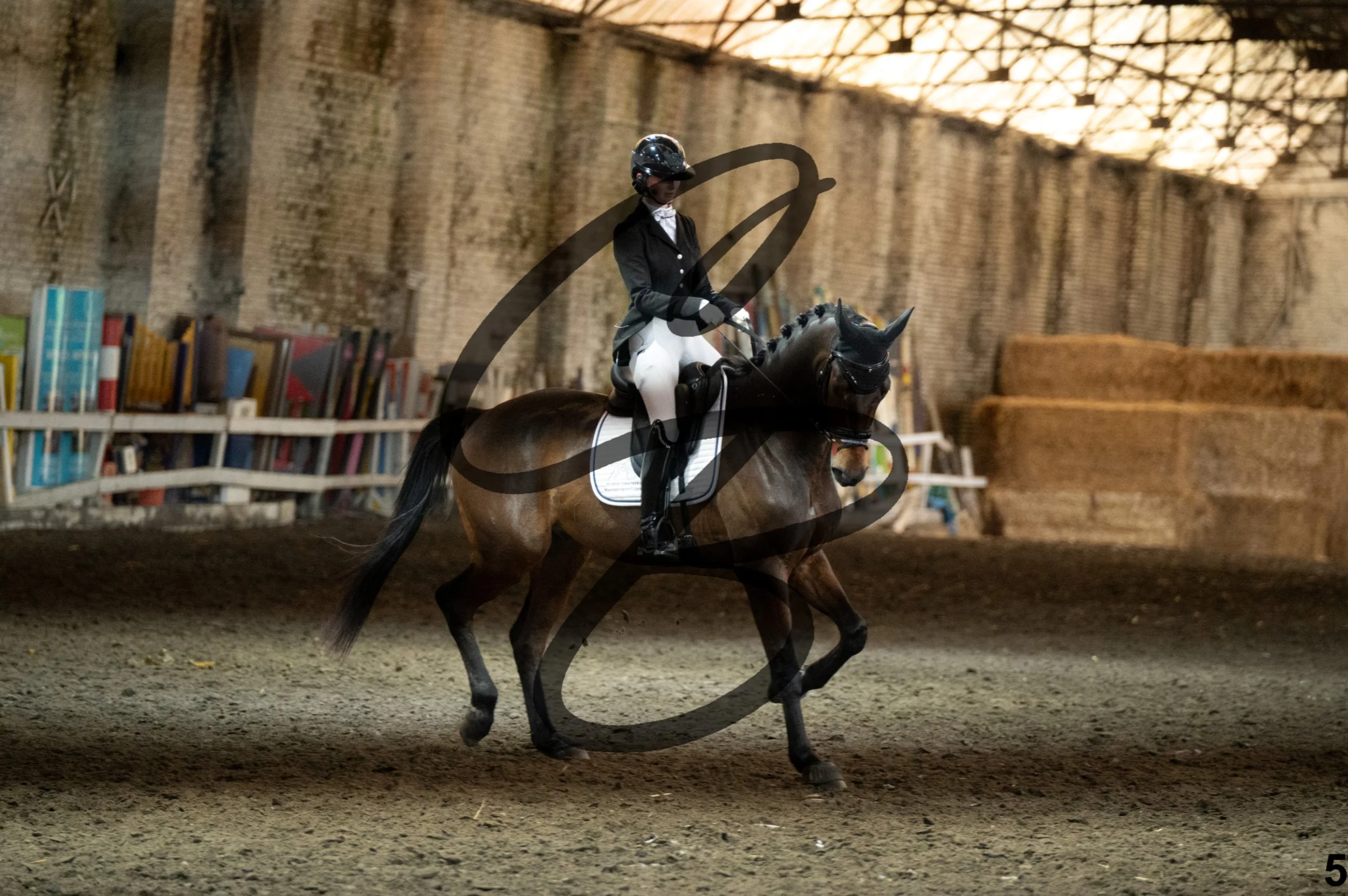 2026.05.10 - Manon & Win -5.jpg