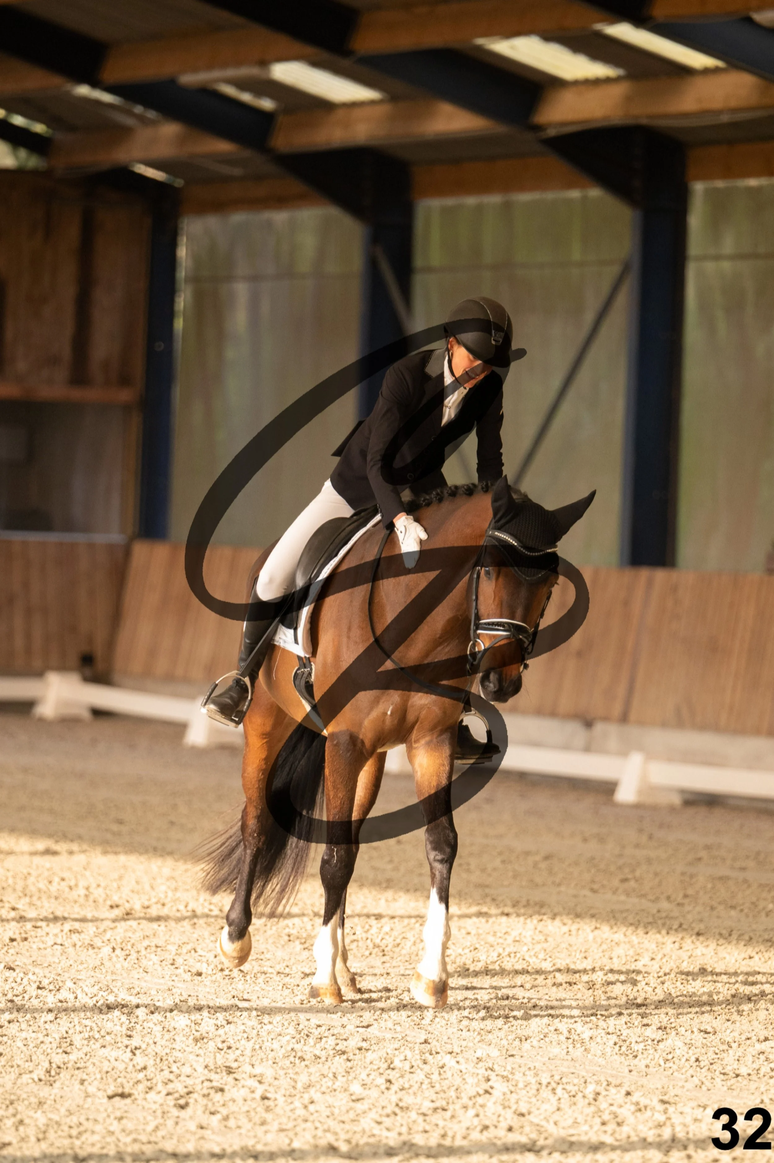 2026.03.22 - jeunes chevaux - 5ans-32.jpg