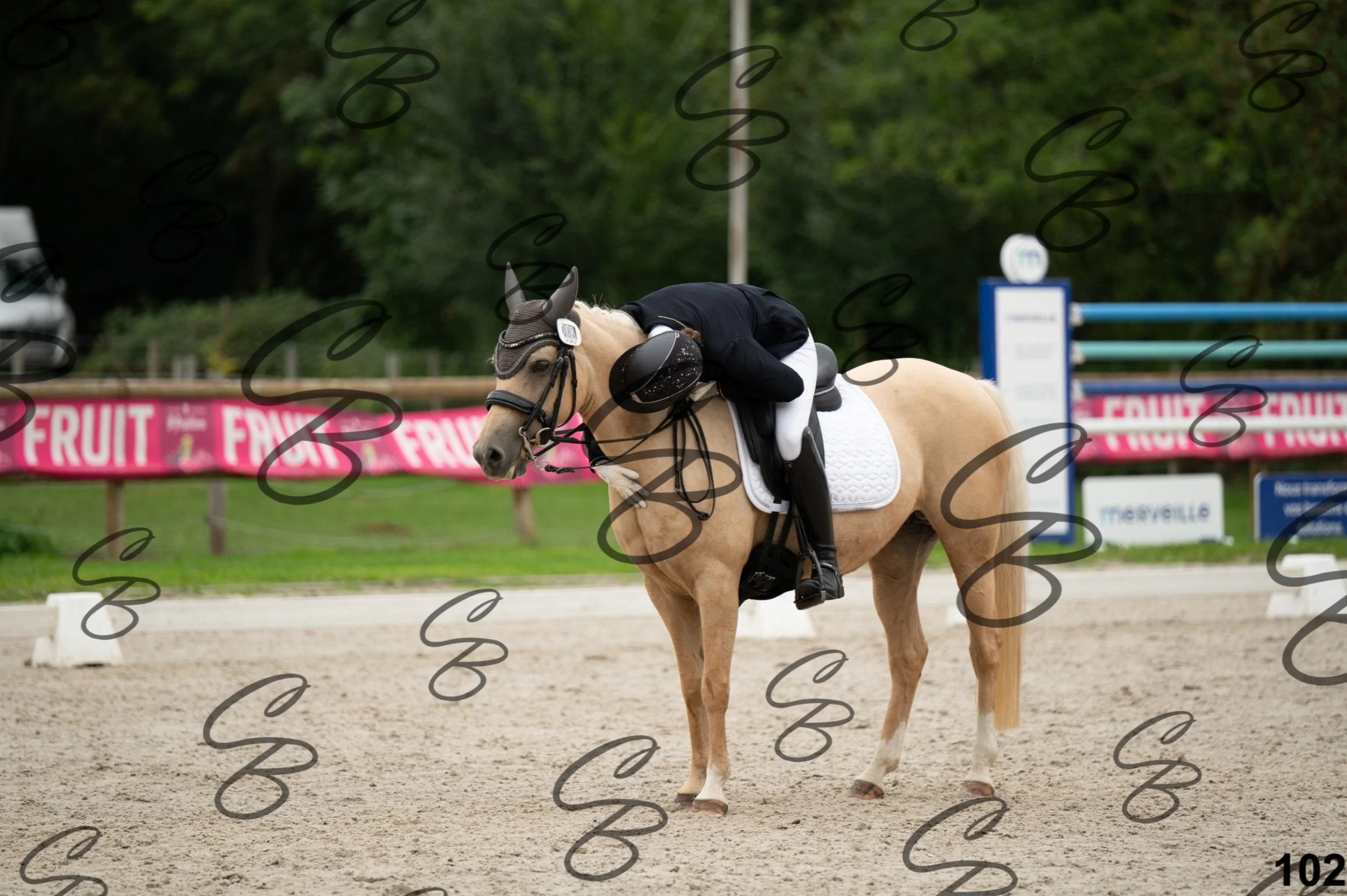 2026.09.13 - Alyssia-102.jpg