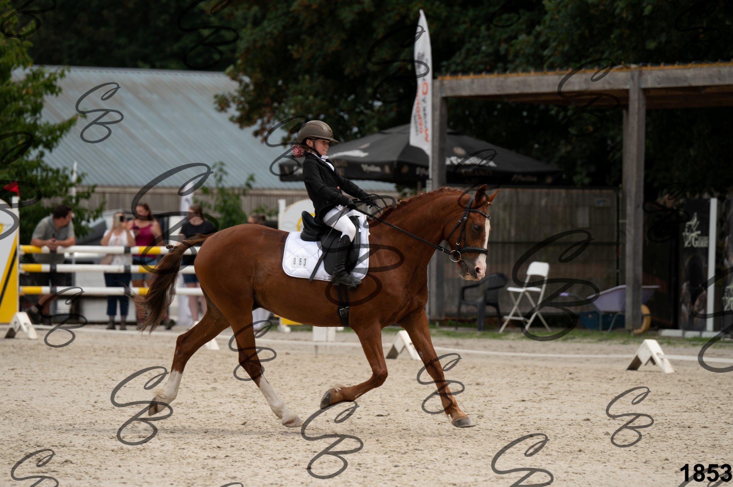 2026.08.16 - Louchier - GHO-39.jpg