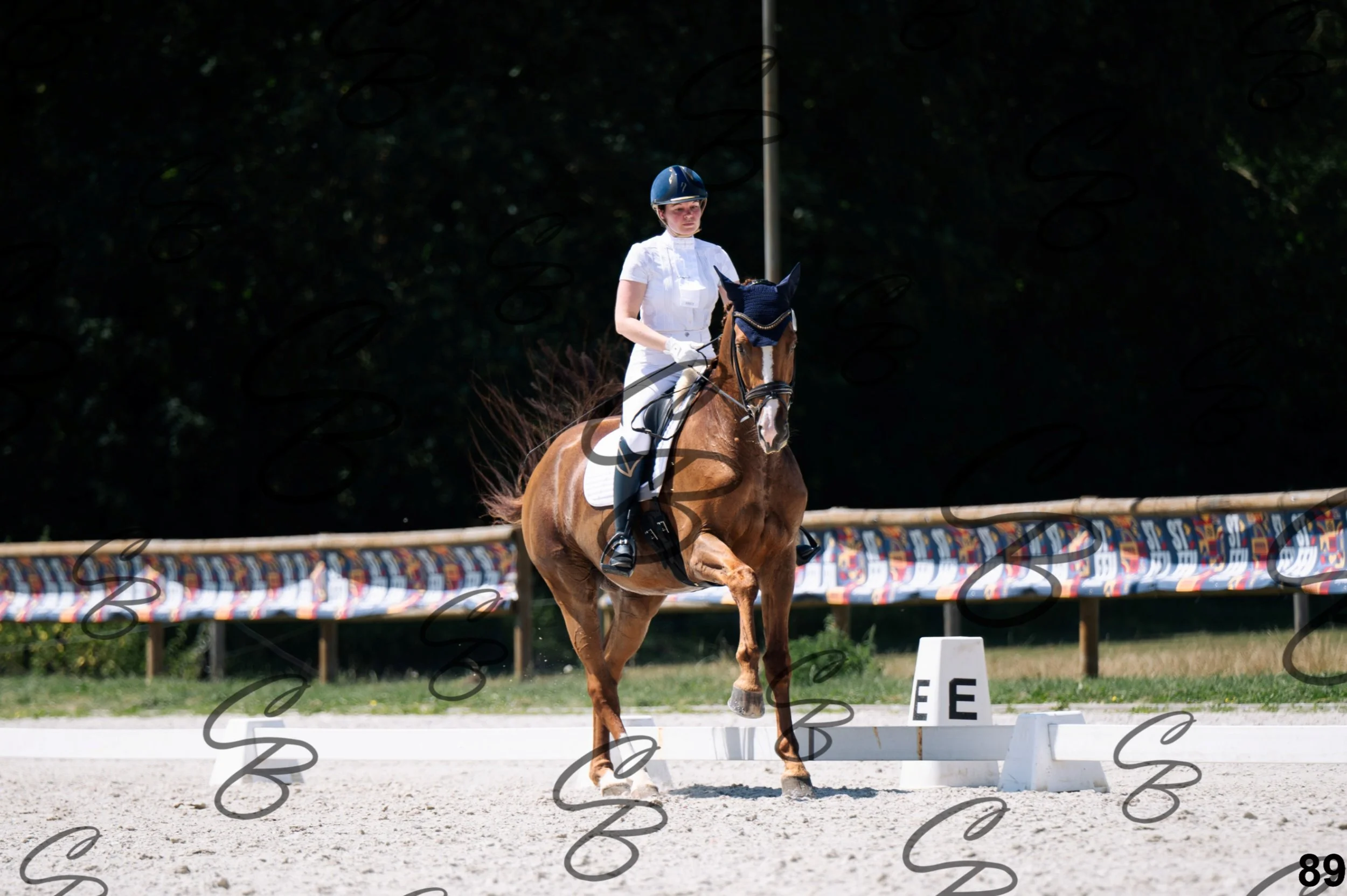 2026.07.12 - Niveau 5 - S3-89.jpg