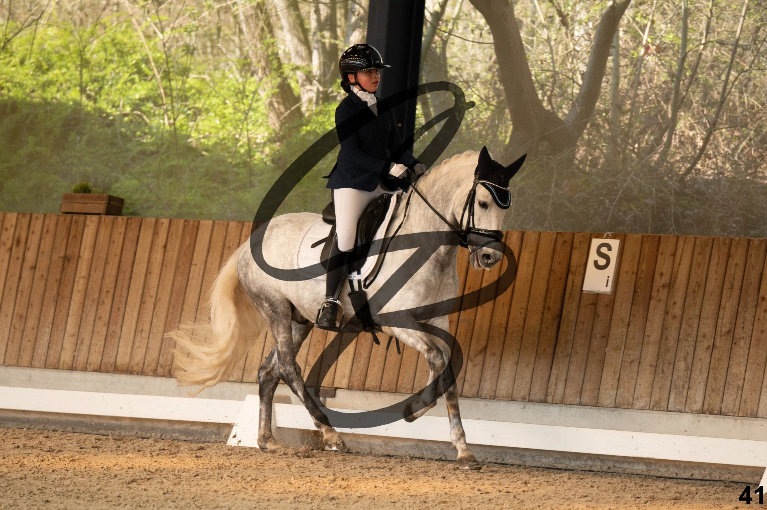 2026.03.22 - Niv3 - pony team test-41.jpg