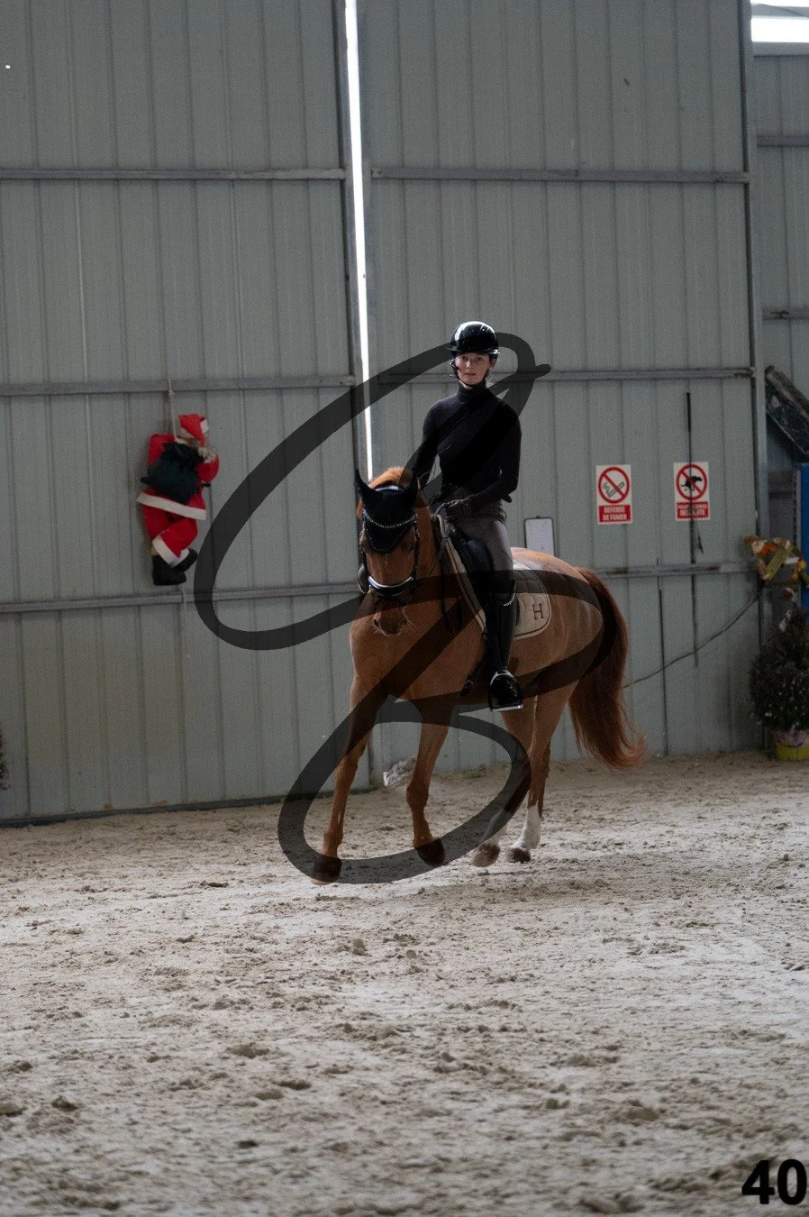 2025.12.06 - Manon&Mexx-40.jpg