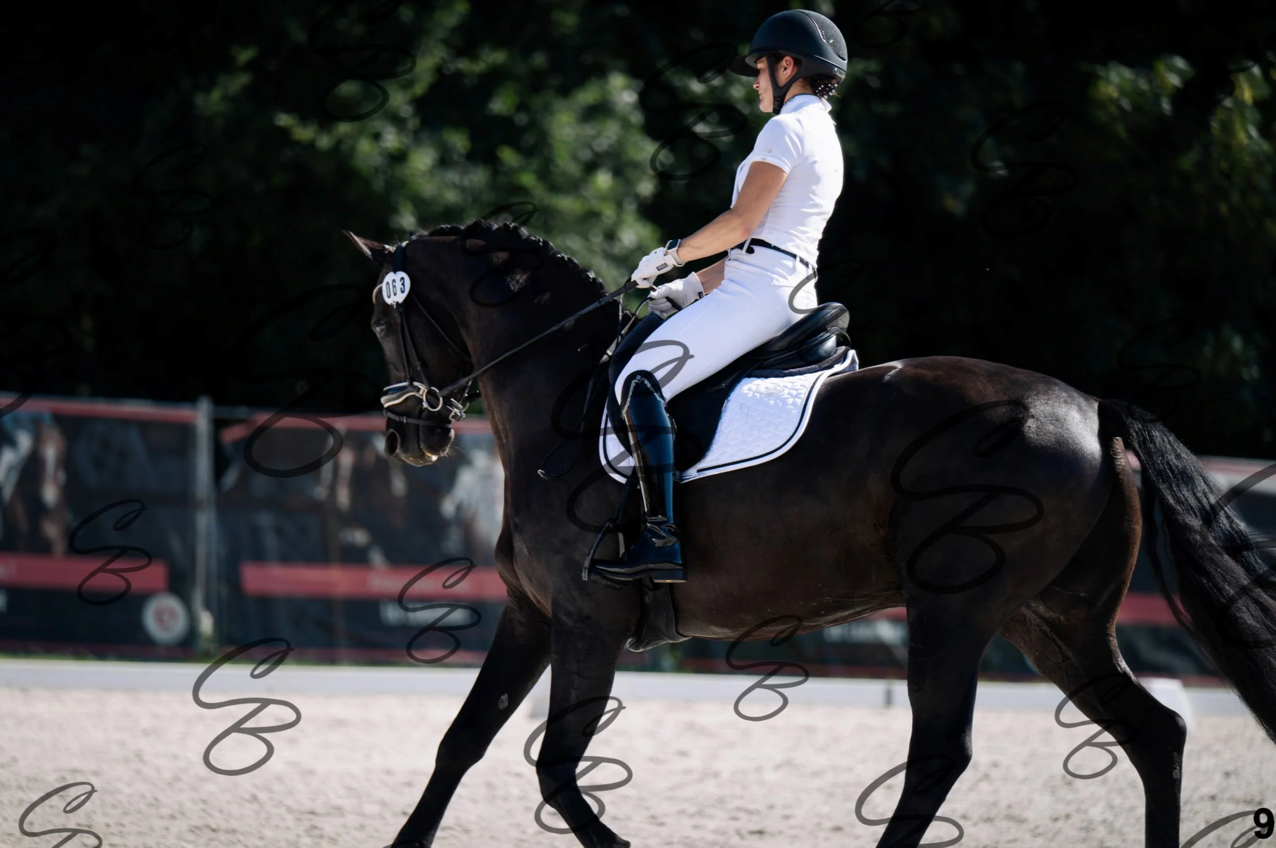2026.07.12 - Jeunes chevaux - FEI 5YH Preliminary Test-9.jpg