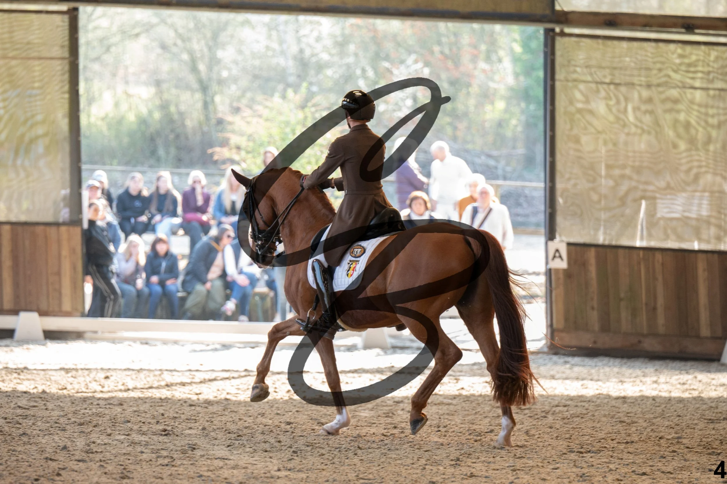 2026.03.22 - grand prix U25-4.jpg