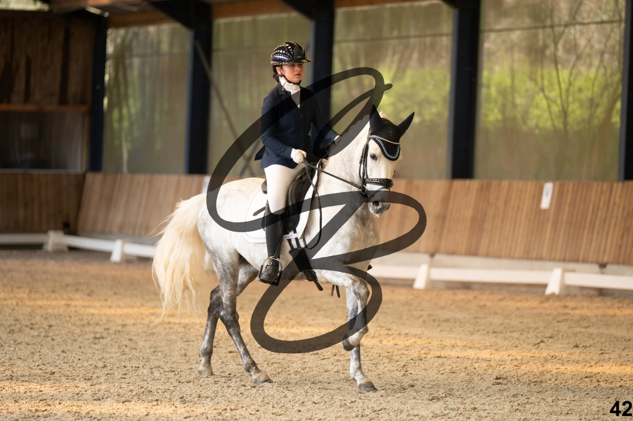 2026.03.22 - Niv3 - pony team test-42.jpg