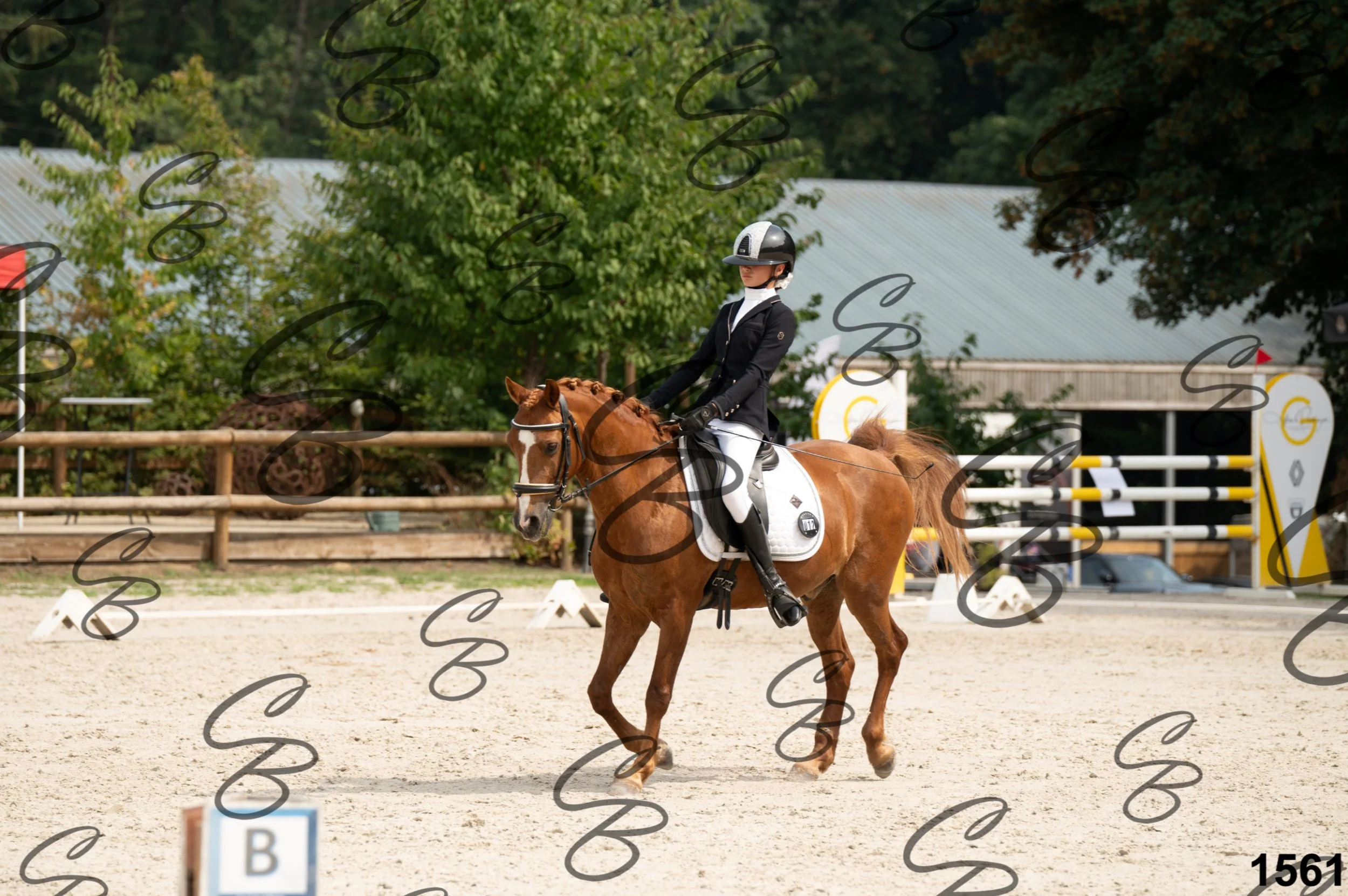 2026.08.15 - Louchier - GHO-1757.jpg