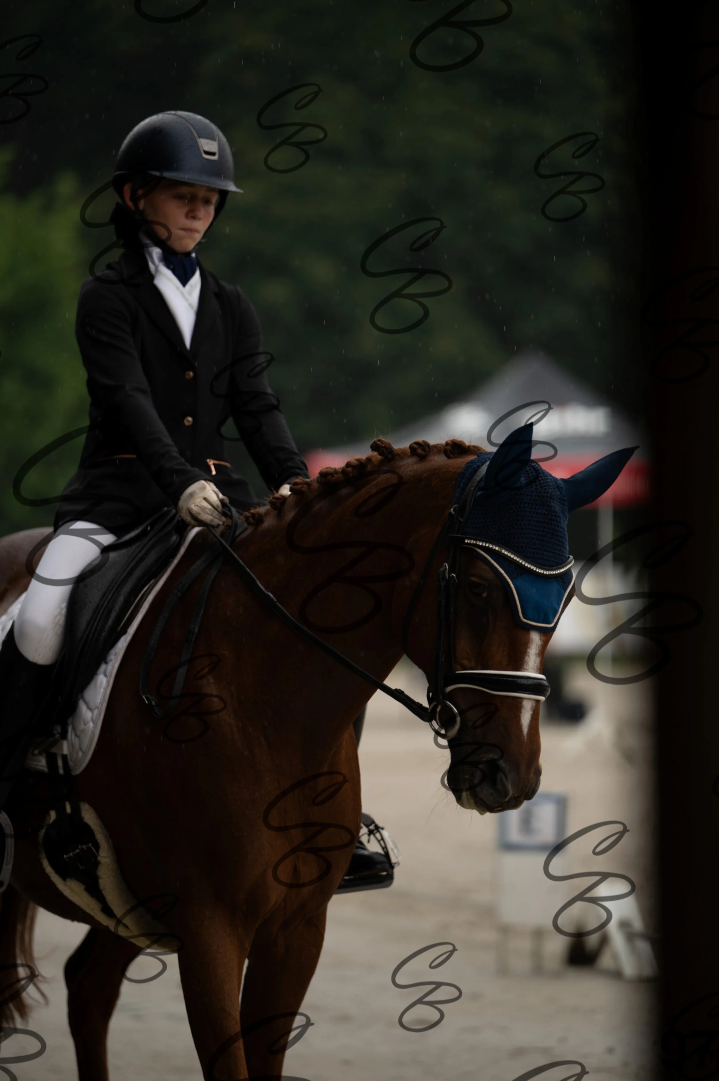 2026.08.15 - Louchier - GHO-138.jpg