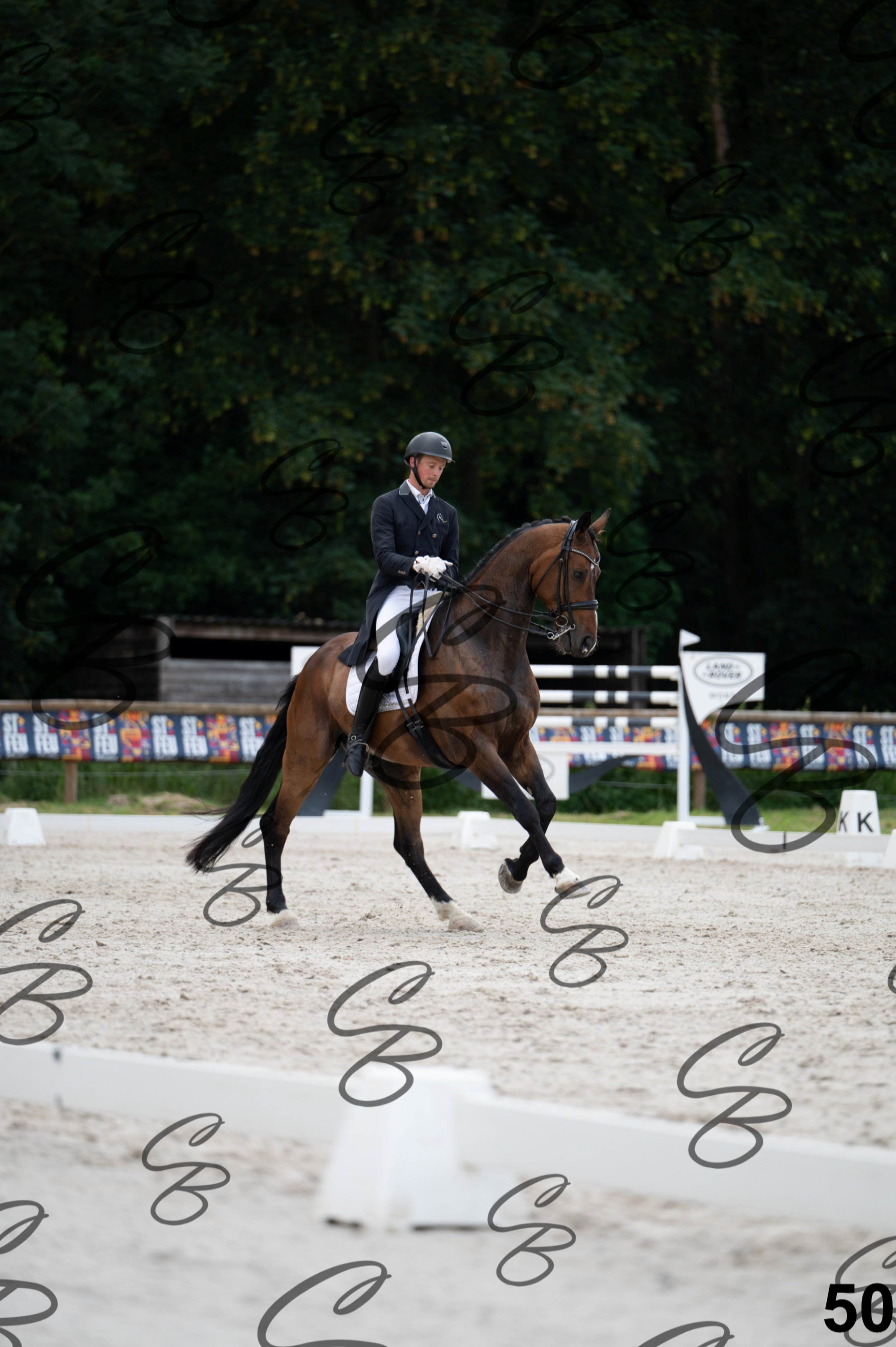 2026.07.04 - 4 Woutter D'hHoore-5.jpg