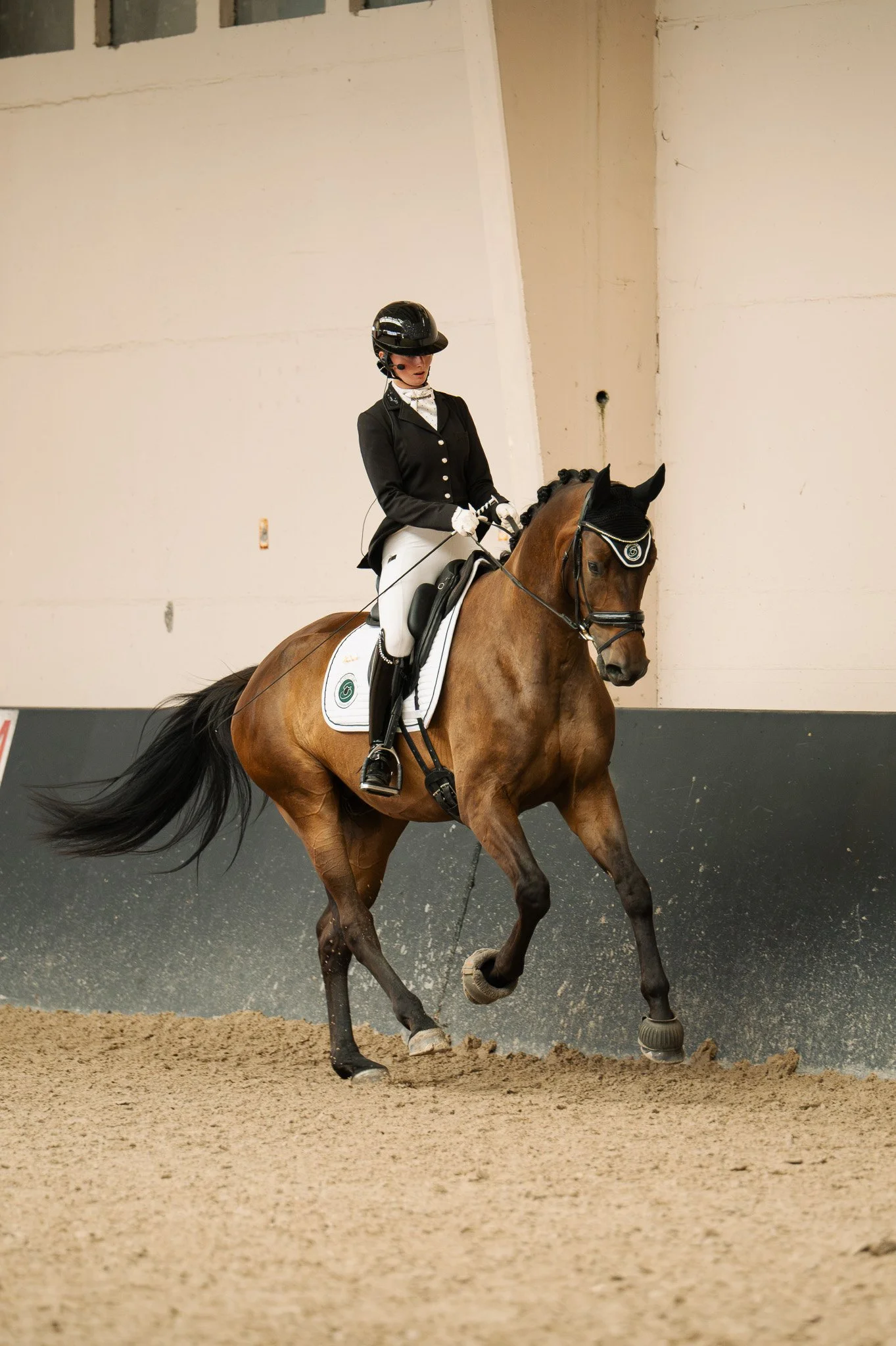 13.08.2026 - Gesves - Jeunes Chevaux