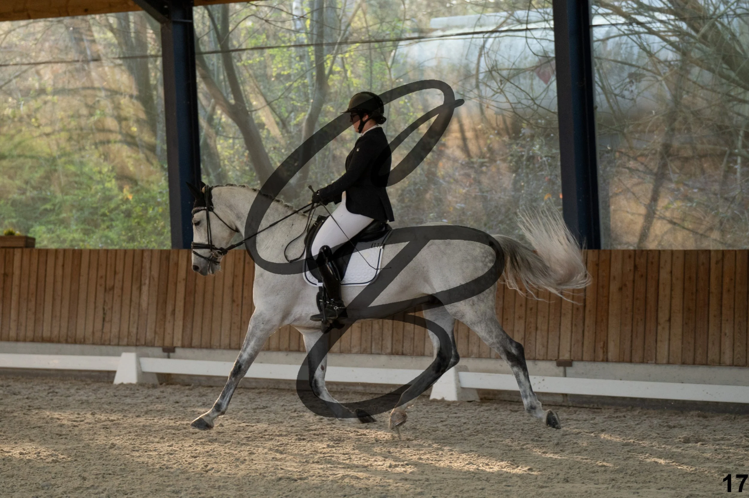 2026.03.22 - niv4.2-17.jpg