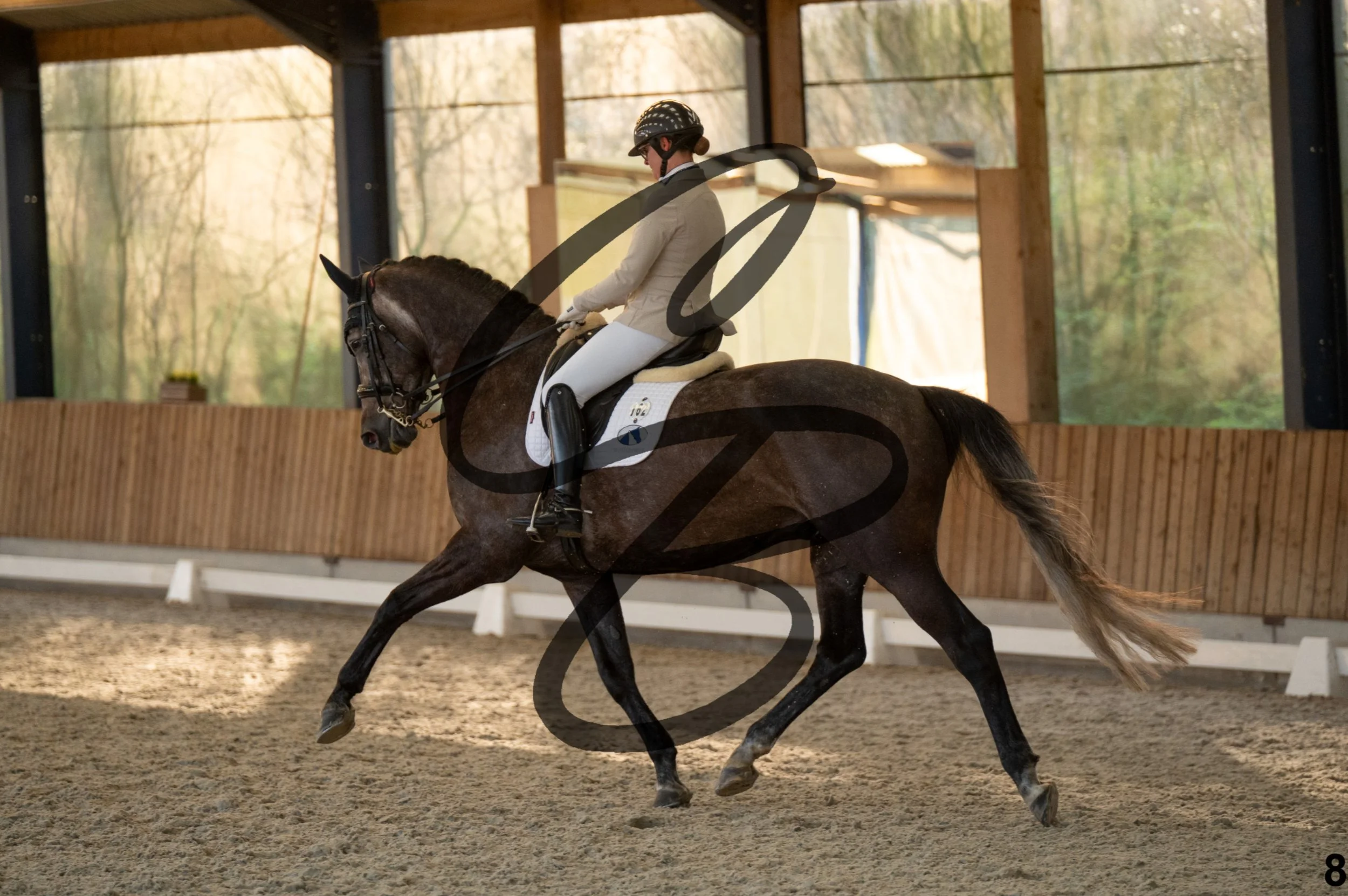 2026.03.22 - niv4.2-8.jpg