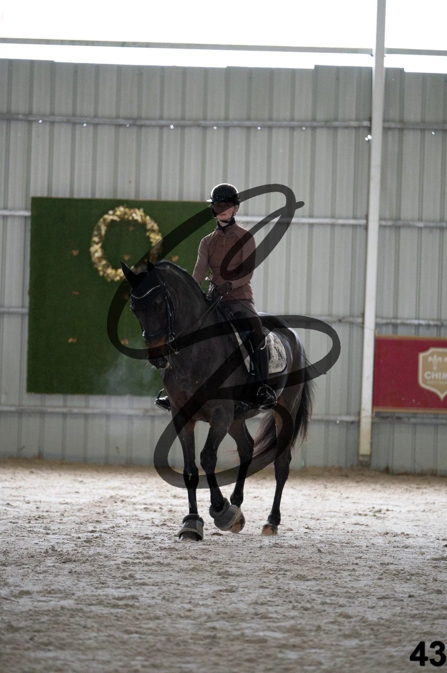 2025.12.06 - Manon&Dab-43.jpg