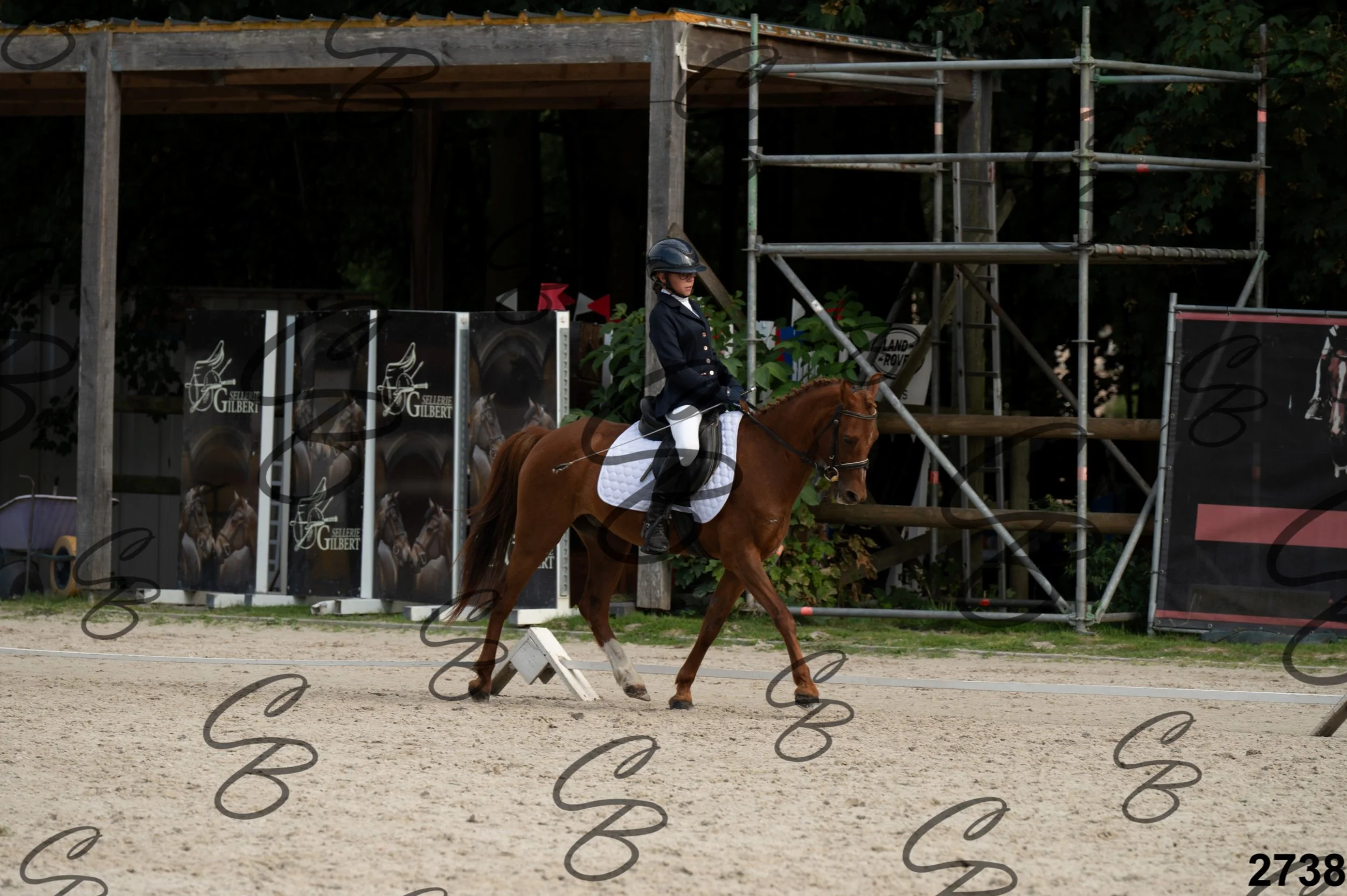 2026.08.16 - Louchier - GHO-44.jpg