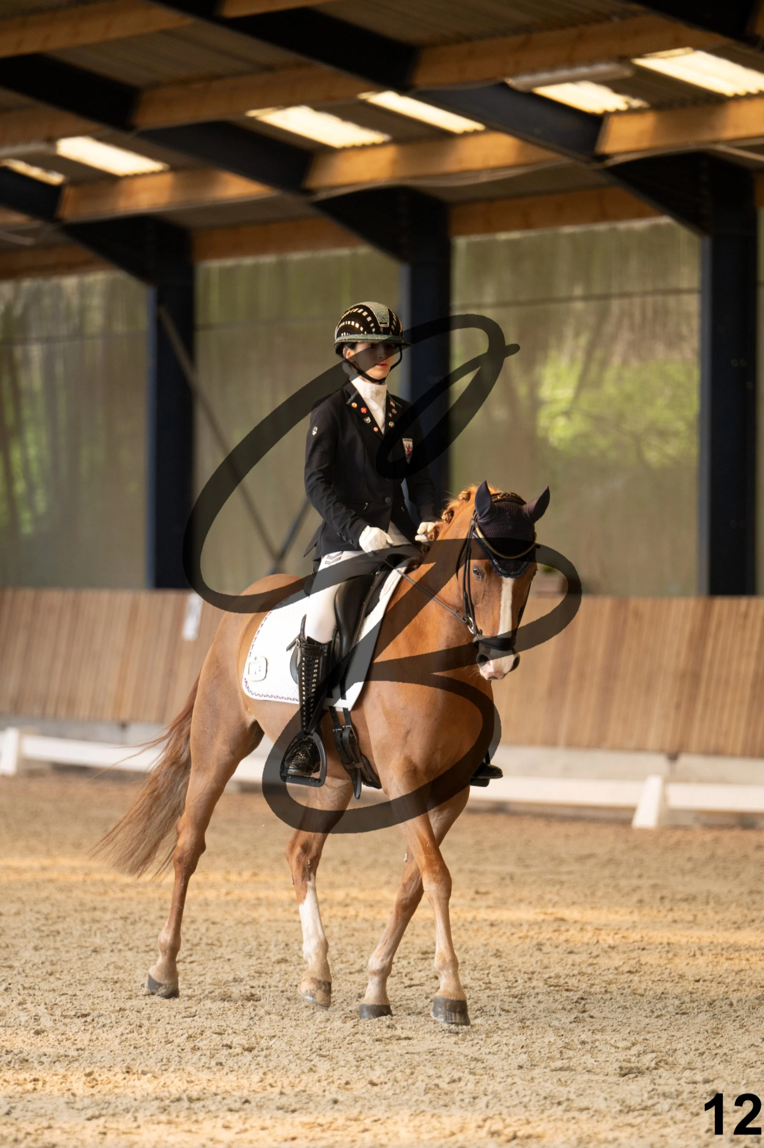 2026.03.22 - Niv3 - pony team test-12.jpg