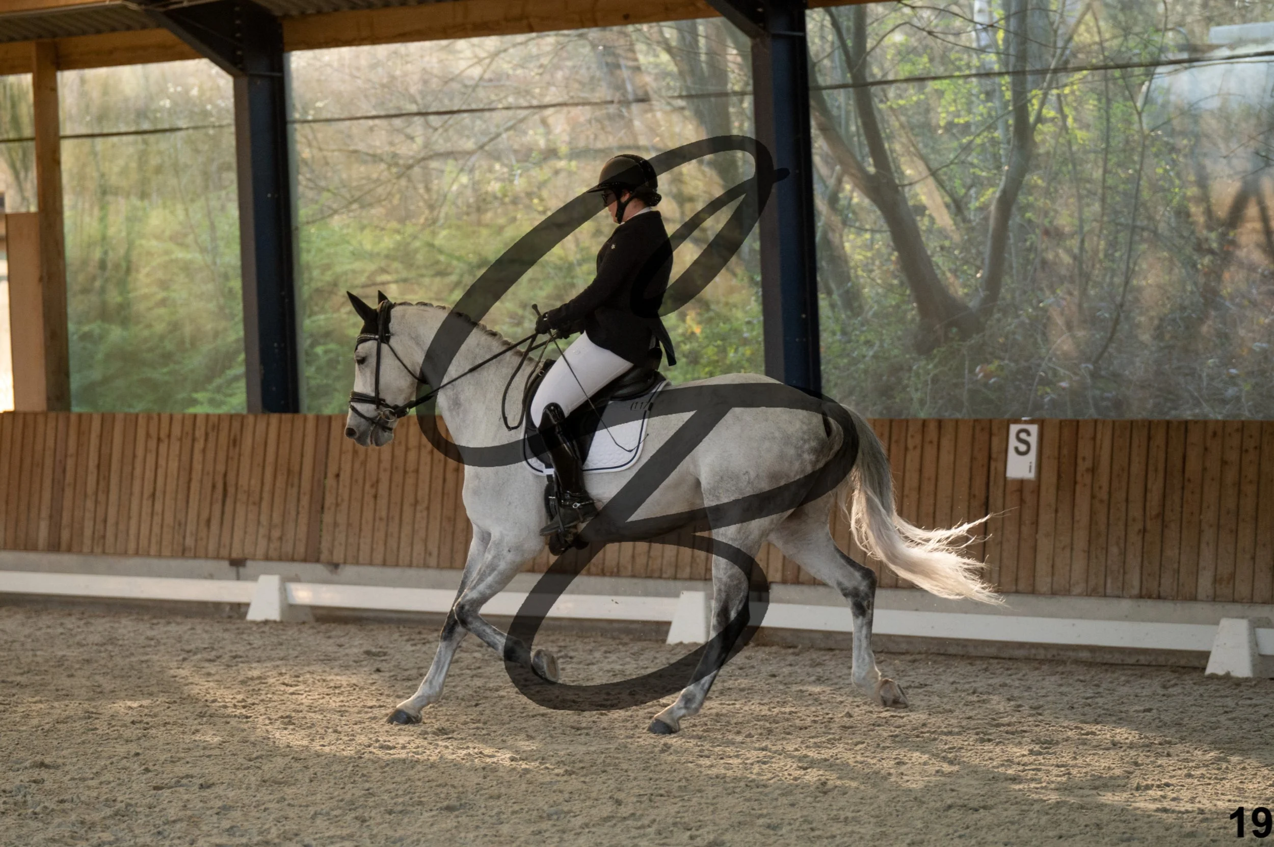 2026.03.22 - niv4.2-19.jpg