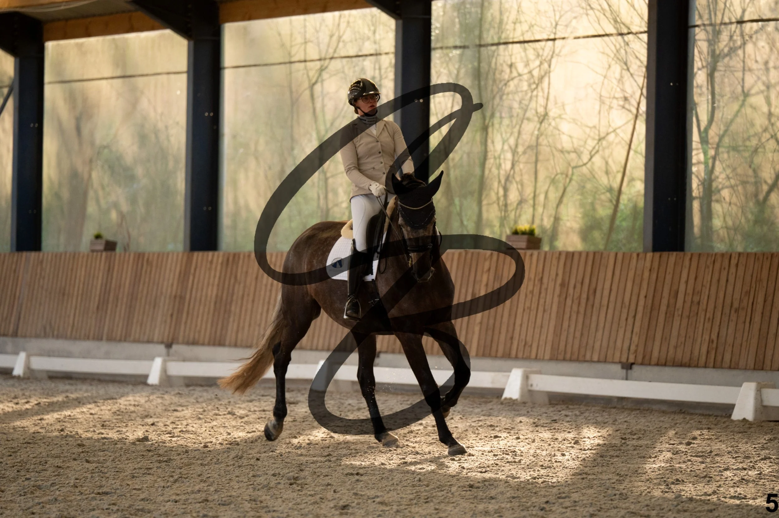 2026.03.22 - niv4.2-5.jpg