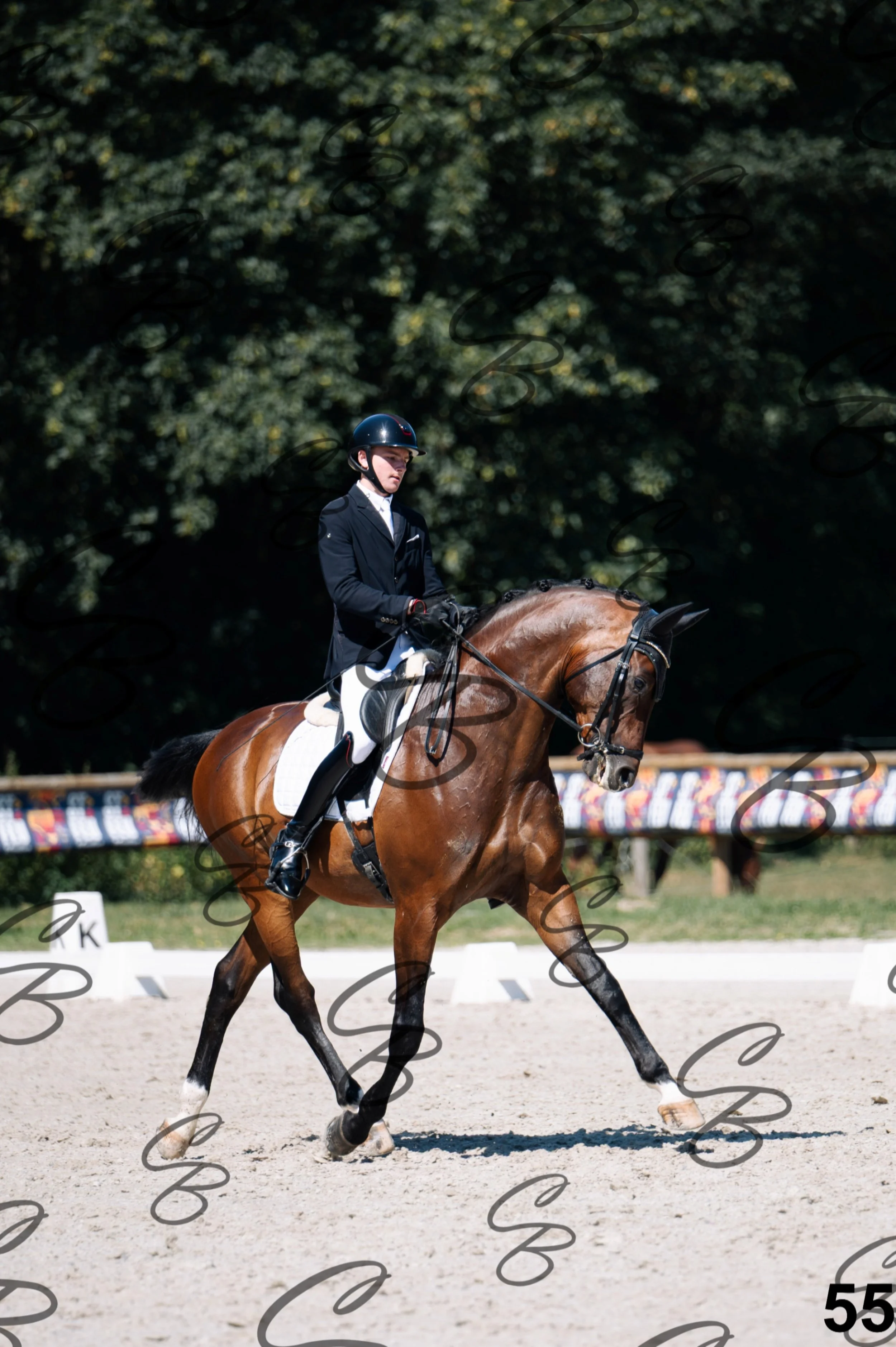 2026.07.12 - Niveau 4 - N4.3-55.jpg