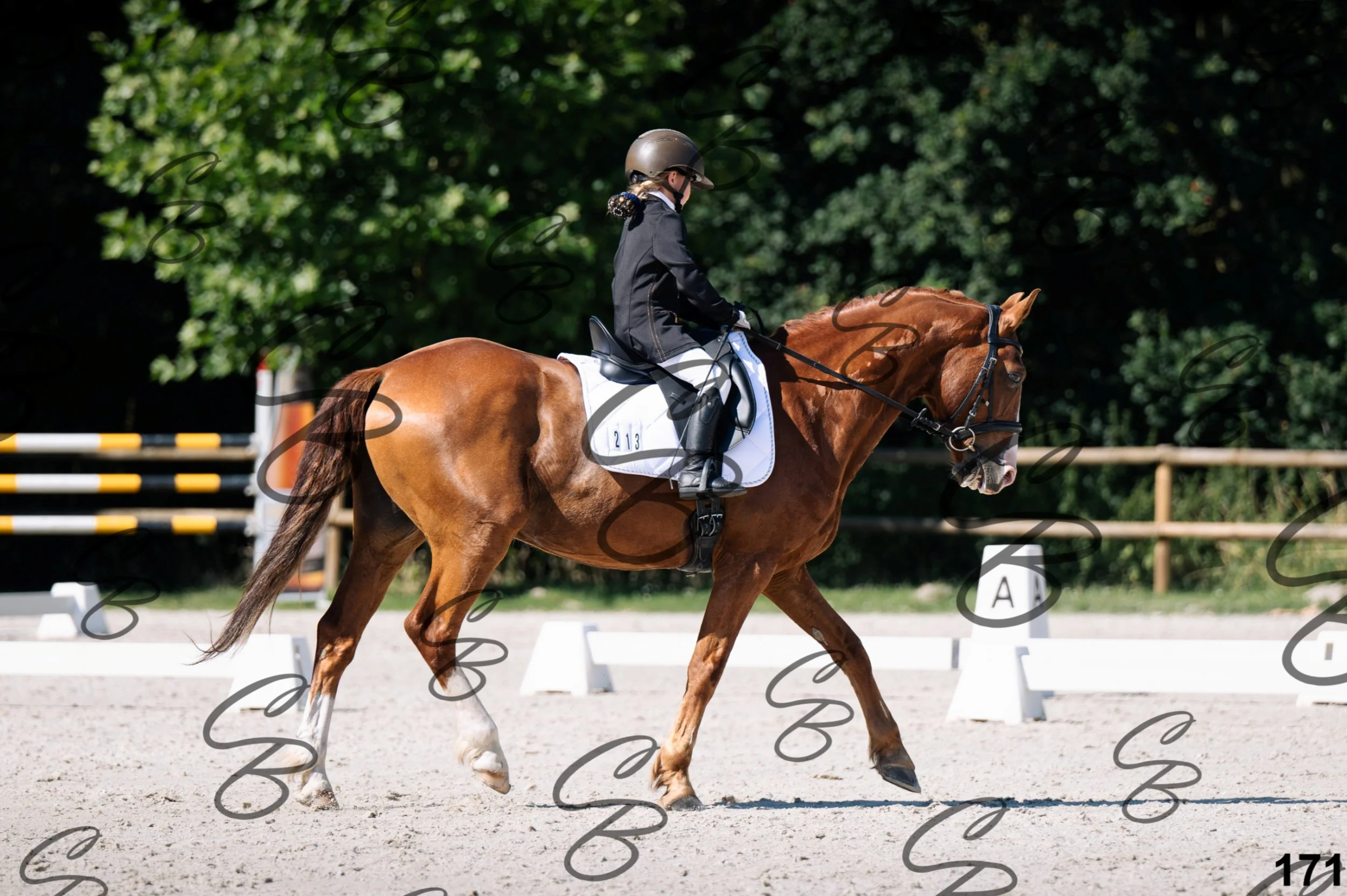 2026.07.12 - 106 Niveau Initiation Poneys - Ini.6-1-2.jpg