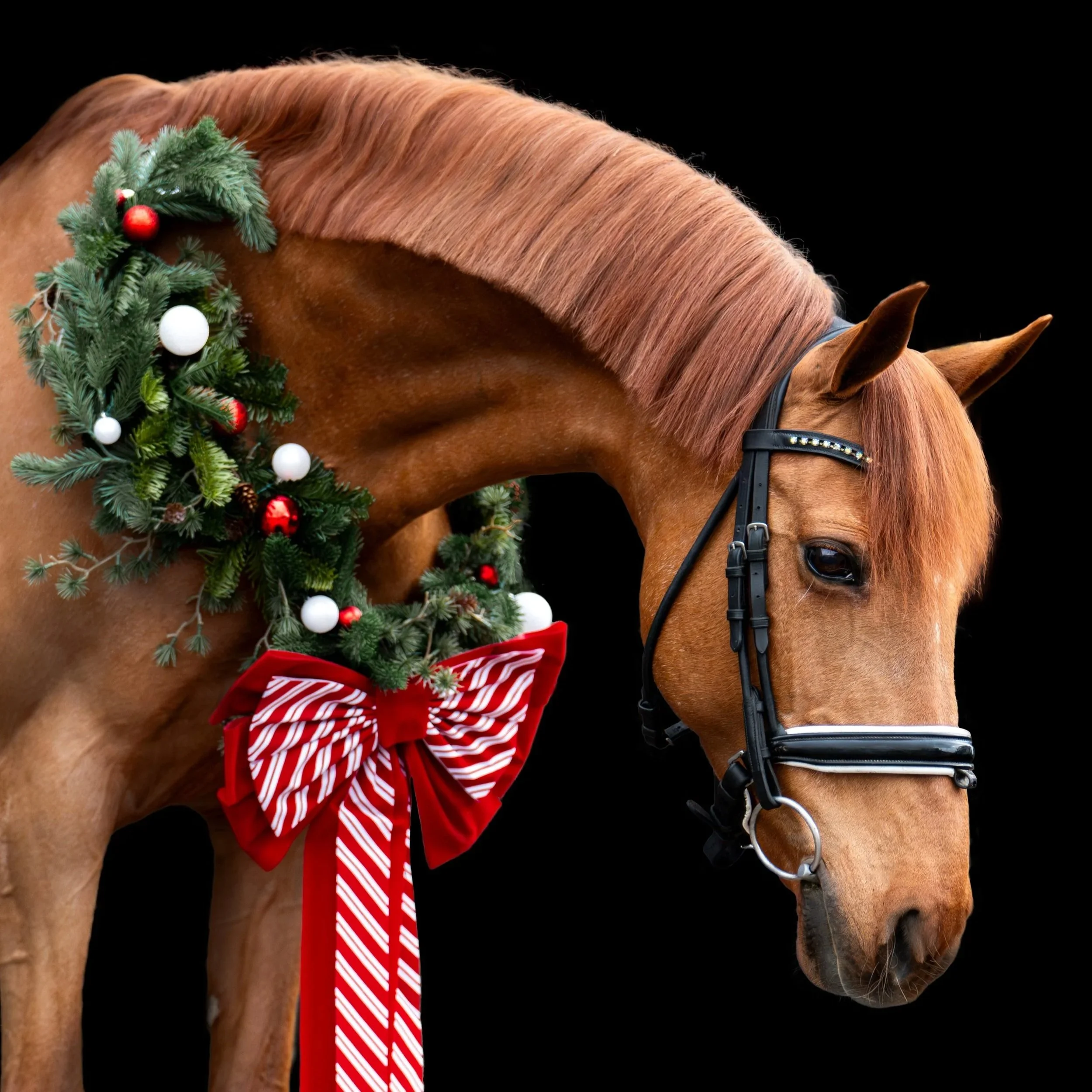 Noël 2025