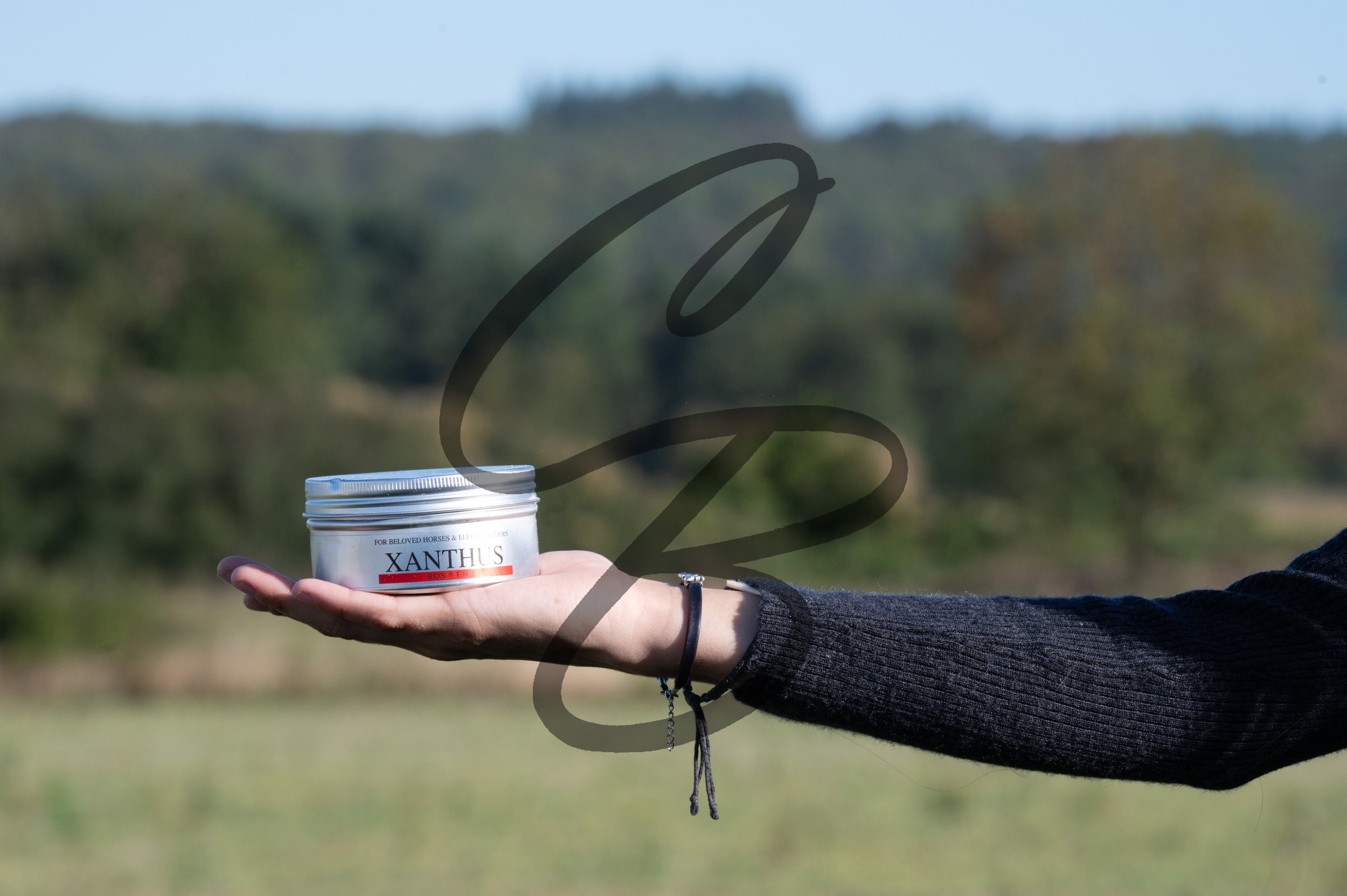 2025.09.19 - Shooting-12.jpg