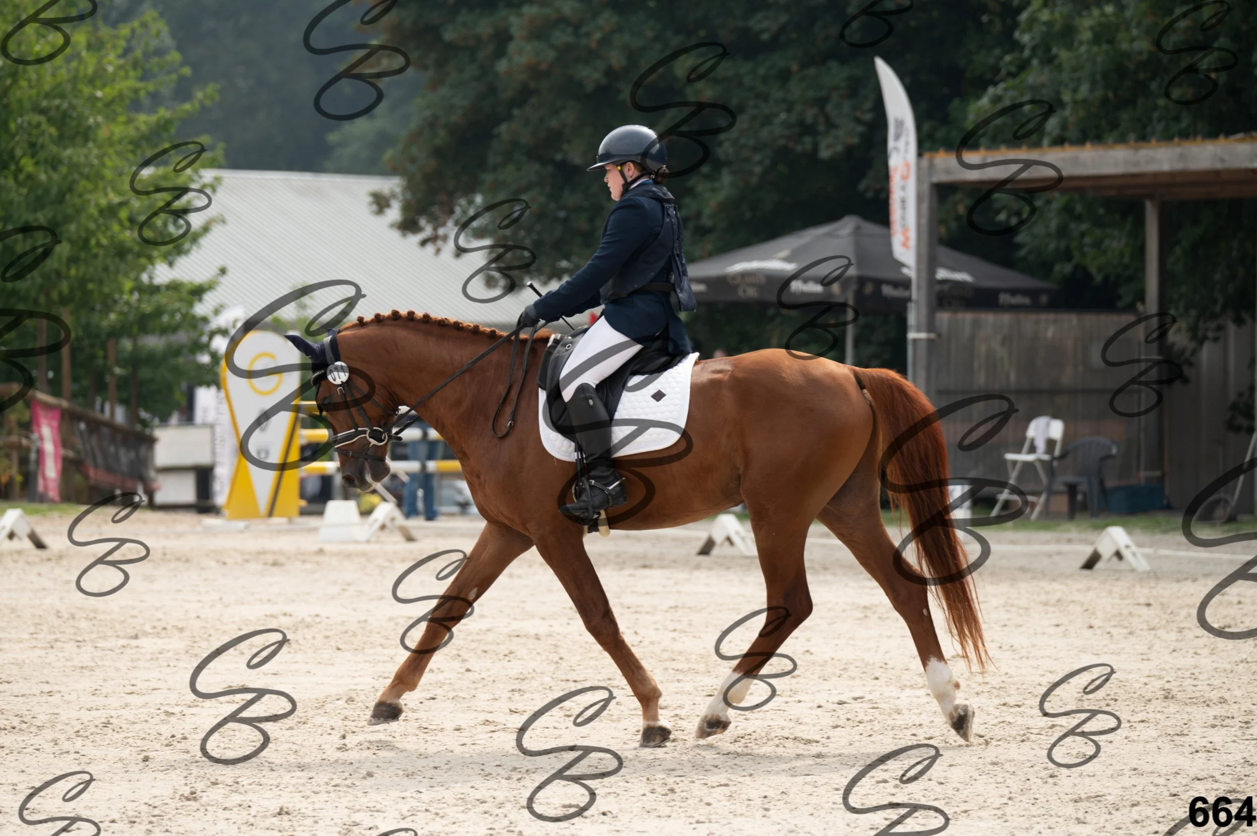 2026.08.15 - Louchier - GHO-764.jpg