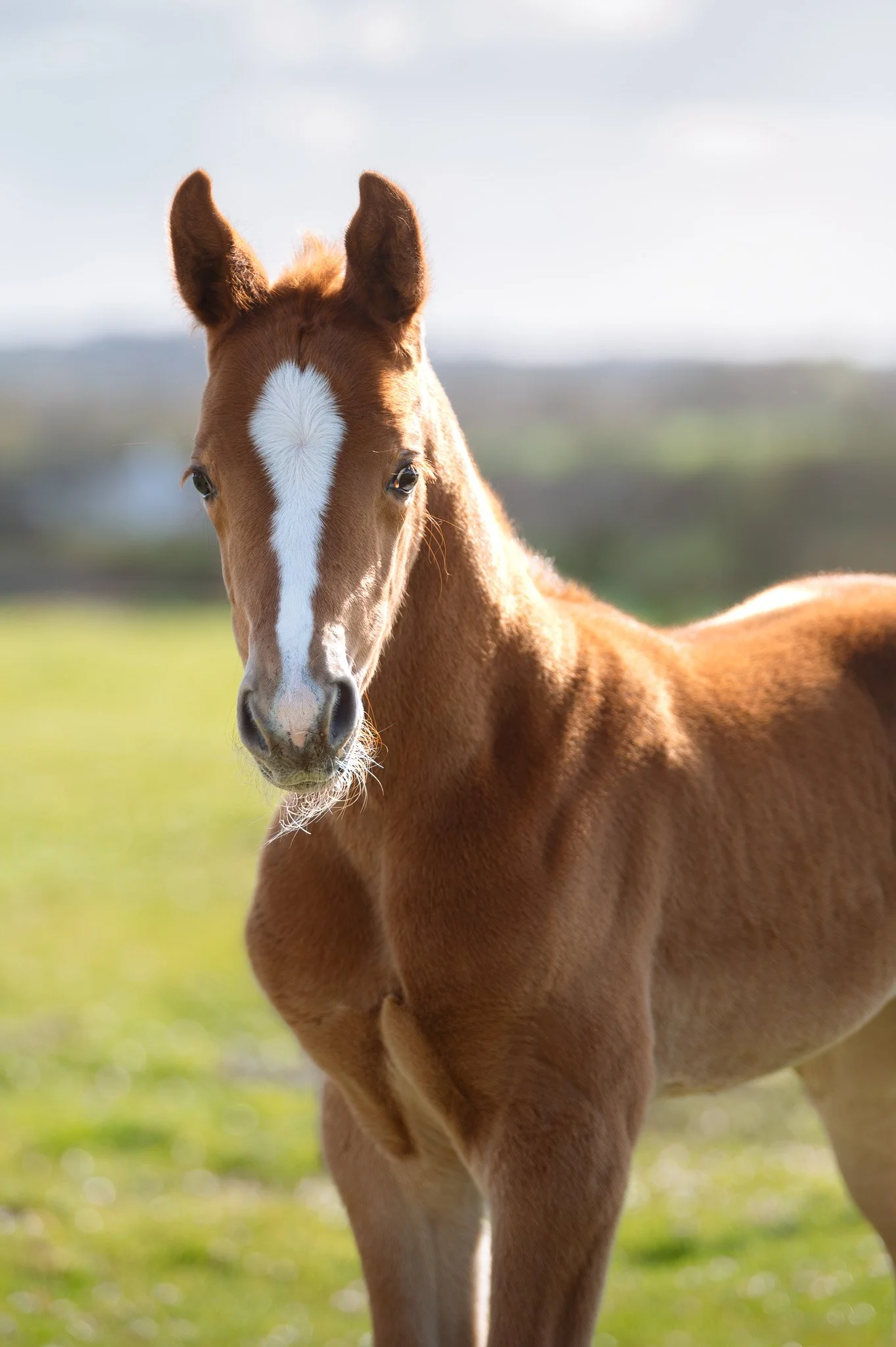 Shooting concours - 28.03.2026