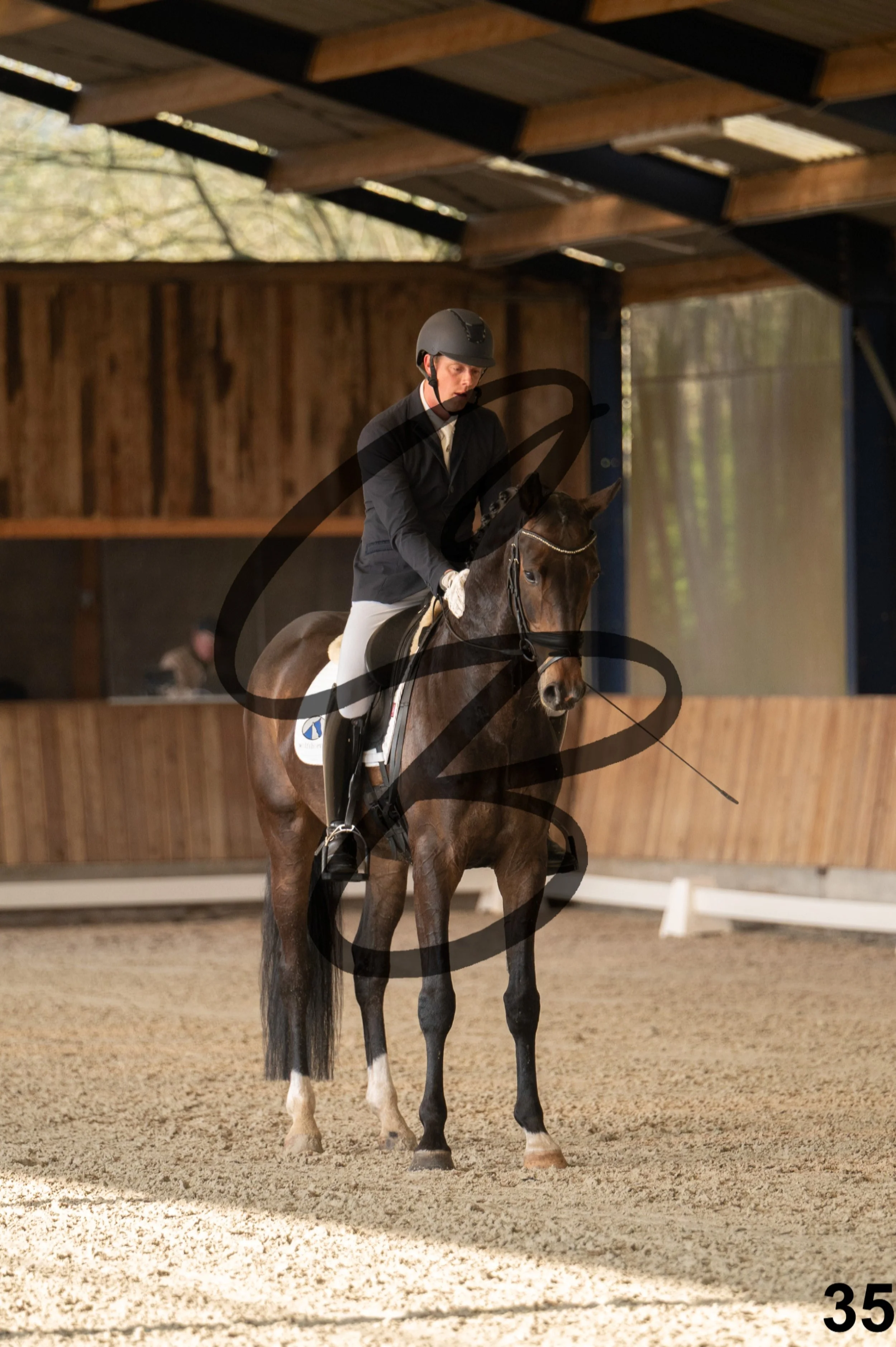 2026.03.22 - jeunes chevaux - 6ans-35.jpg