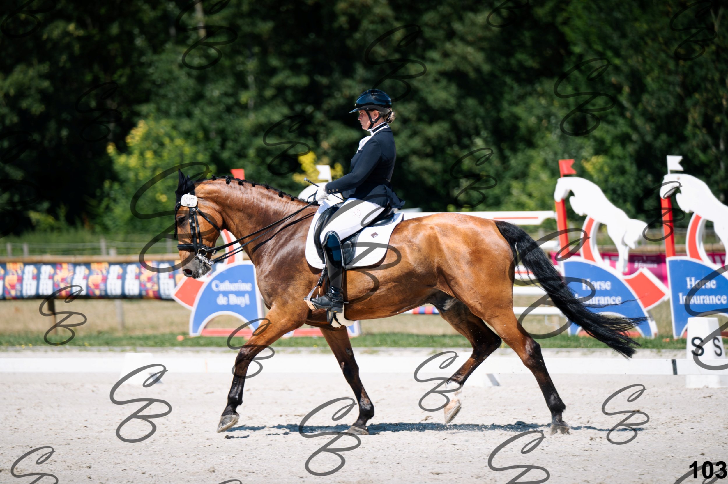 2026.07.12 - Niveau 4 - N4.3-103.jpg