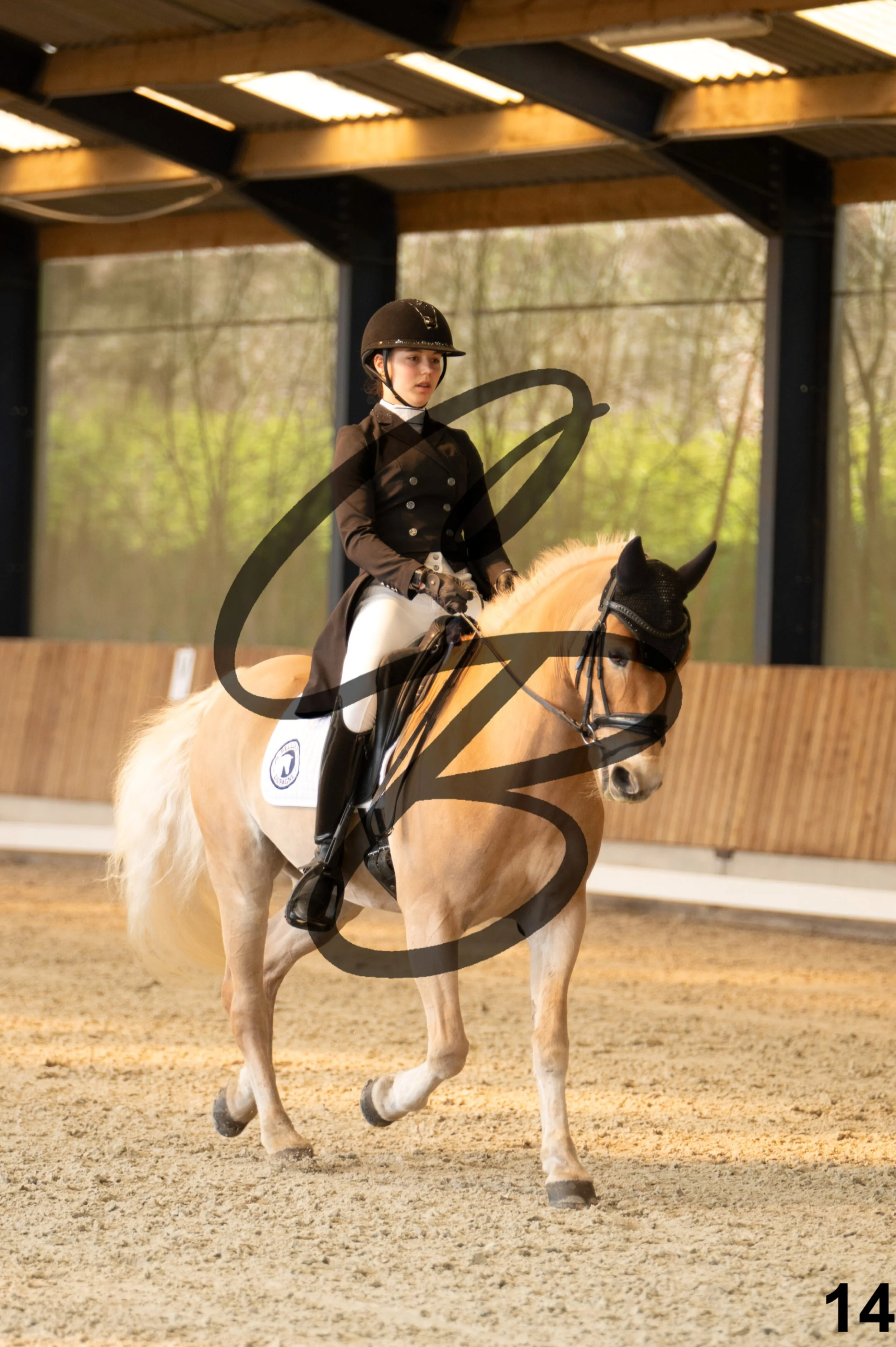 2026.03.22 - Niv4 - junior team test-14.jpg