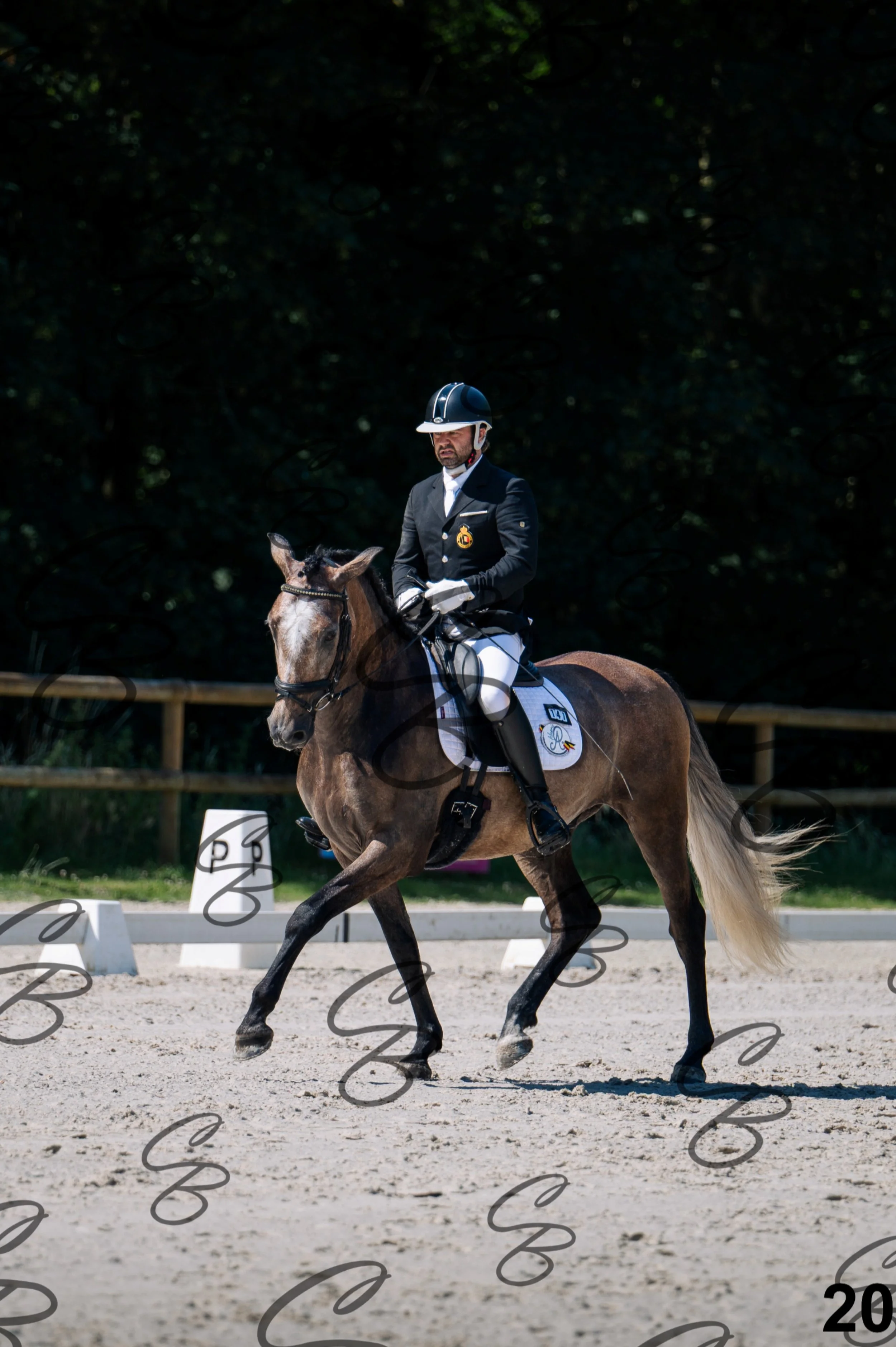 2026.07.11 - 2 Novilla - Jonge paarden - Jeunes chevaux - NOVILLA-20.jpg