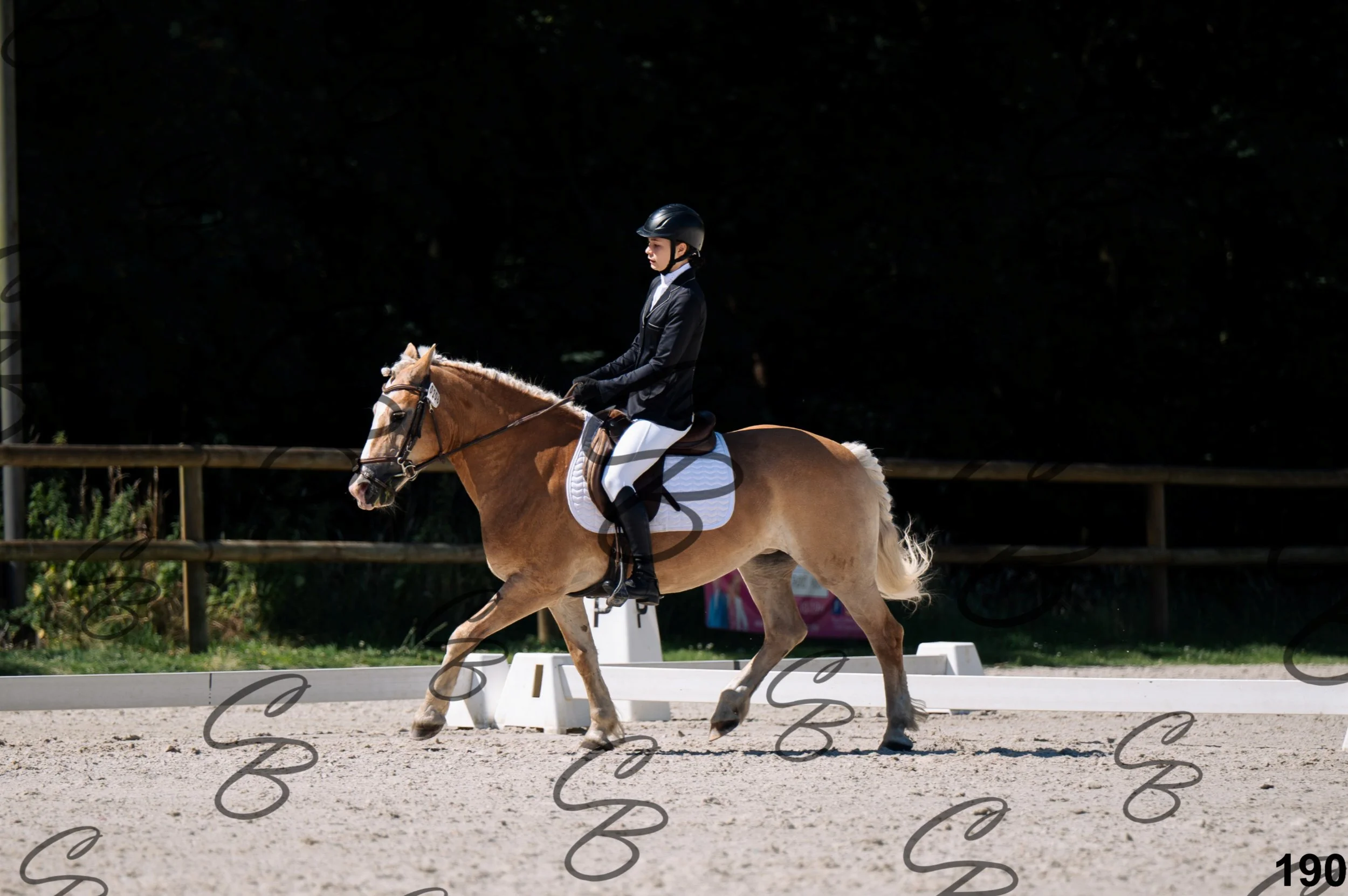 2026.07.12 -106 Niveau Initiation Poneys - Ini.6-7.jpg