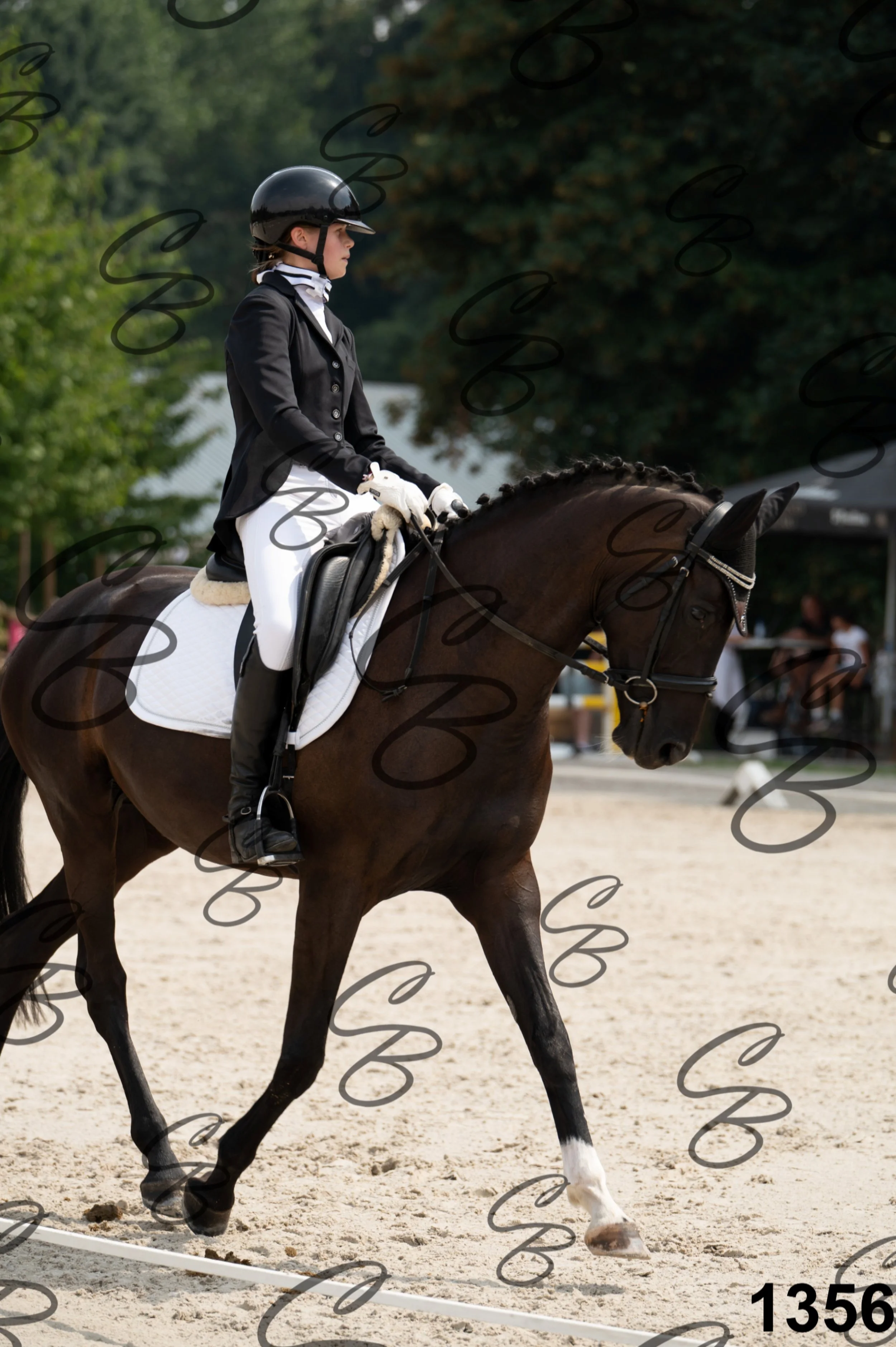 2026.08.15 - Louchier - GHO-1346.jpg