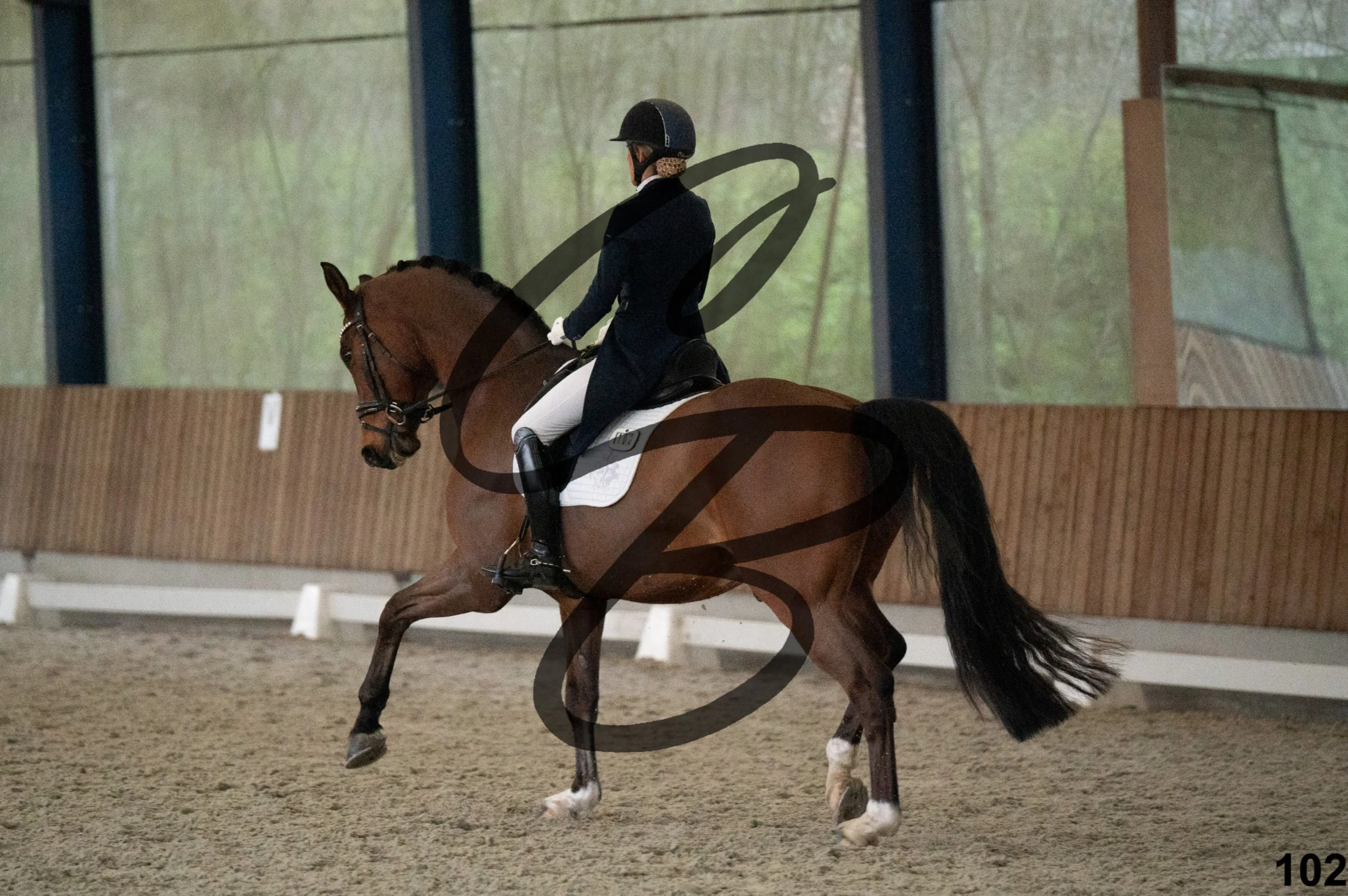 2026.03.22 - niv5 - saint georges-102.jpg