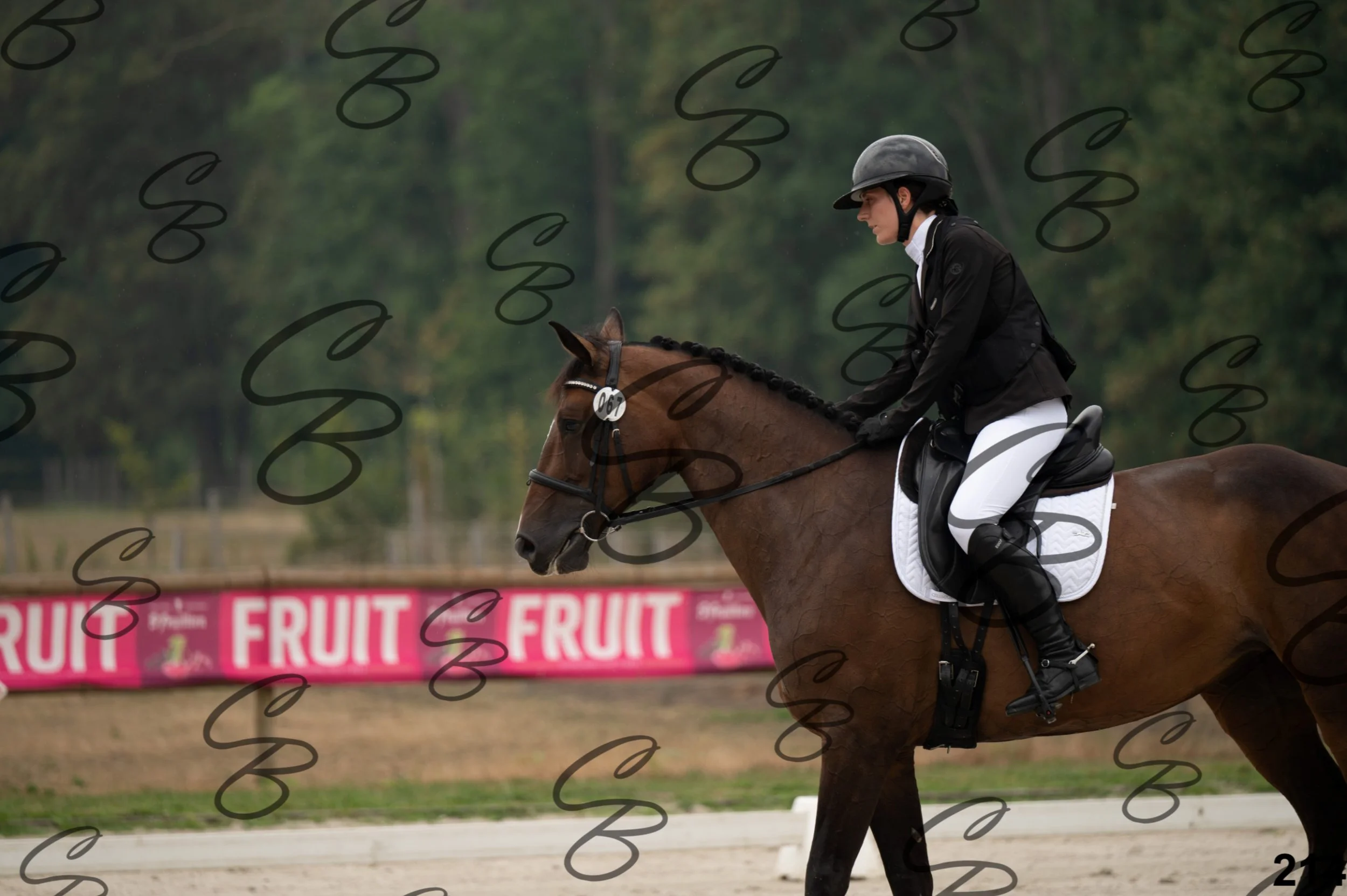 2026.08.15 - Louchier - GHO-288.jpg