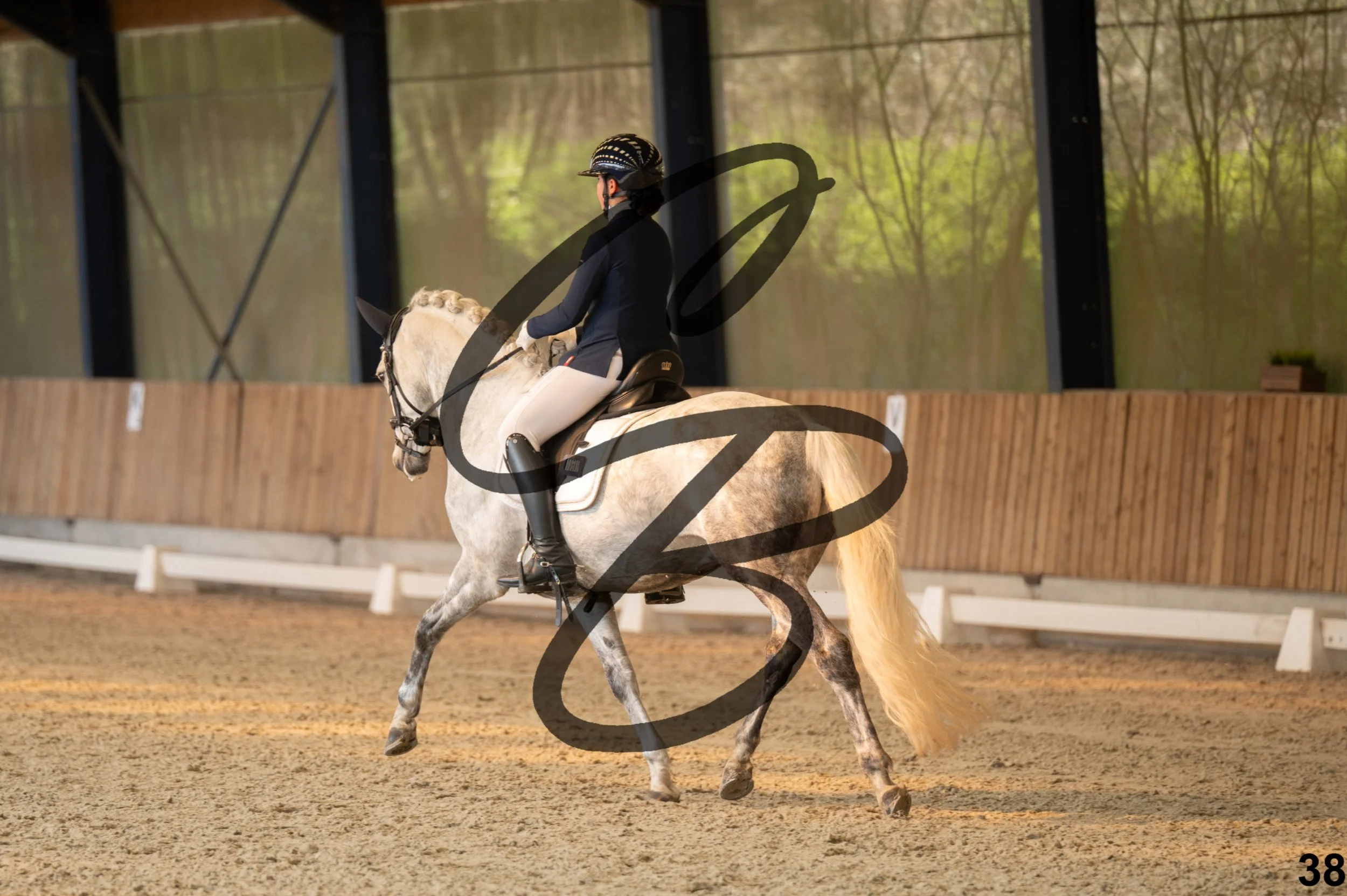 2026.03.22 - Niv3 - pony team test-38.jpg